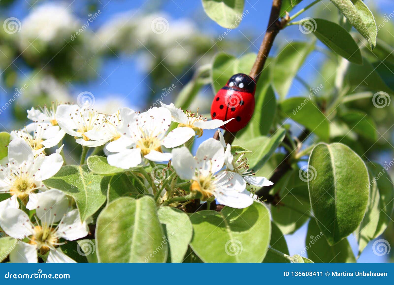 Marienkäfer in einem blühenden Vogelbaum. Das Bild zeigt einen hölzernen Marienkäfer in einem blühenden Birnenbaum