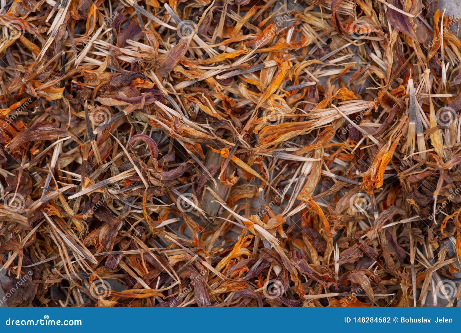 Marigold Dry Seeds Mexican Marigold Aztec Marigold African Marigold As A Background etes Erecta Daisy Family Stock Photo Image Of Ecology African Marigold Dry Seeds Mexican Marigold Aztec Marigold African Marigold As A Background etes Erecta Daisy Family Stock Photo Image Of Ecology African