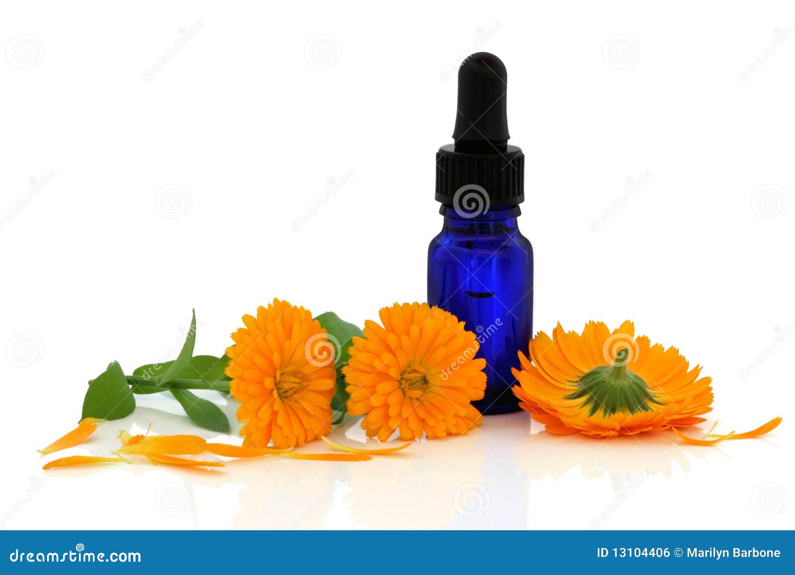 Marigold Flower Essence stock photo. Image of bottle 13104406