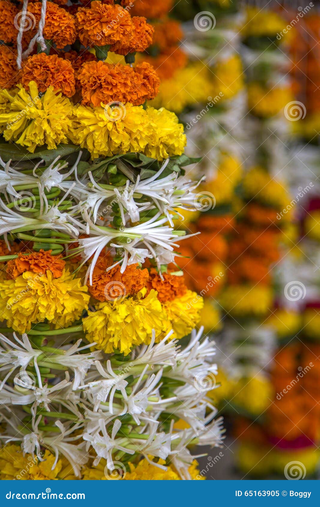 Marigold flower in Mumbai stock image. Image of mumbai 65163905