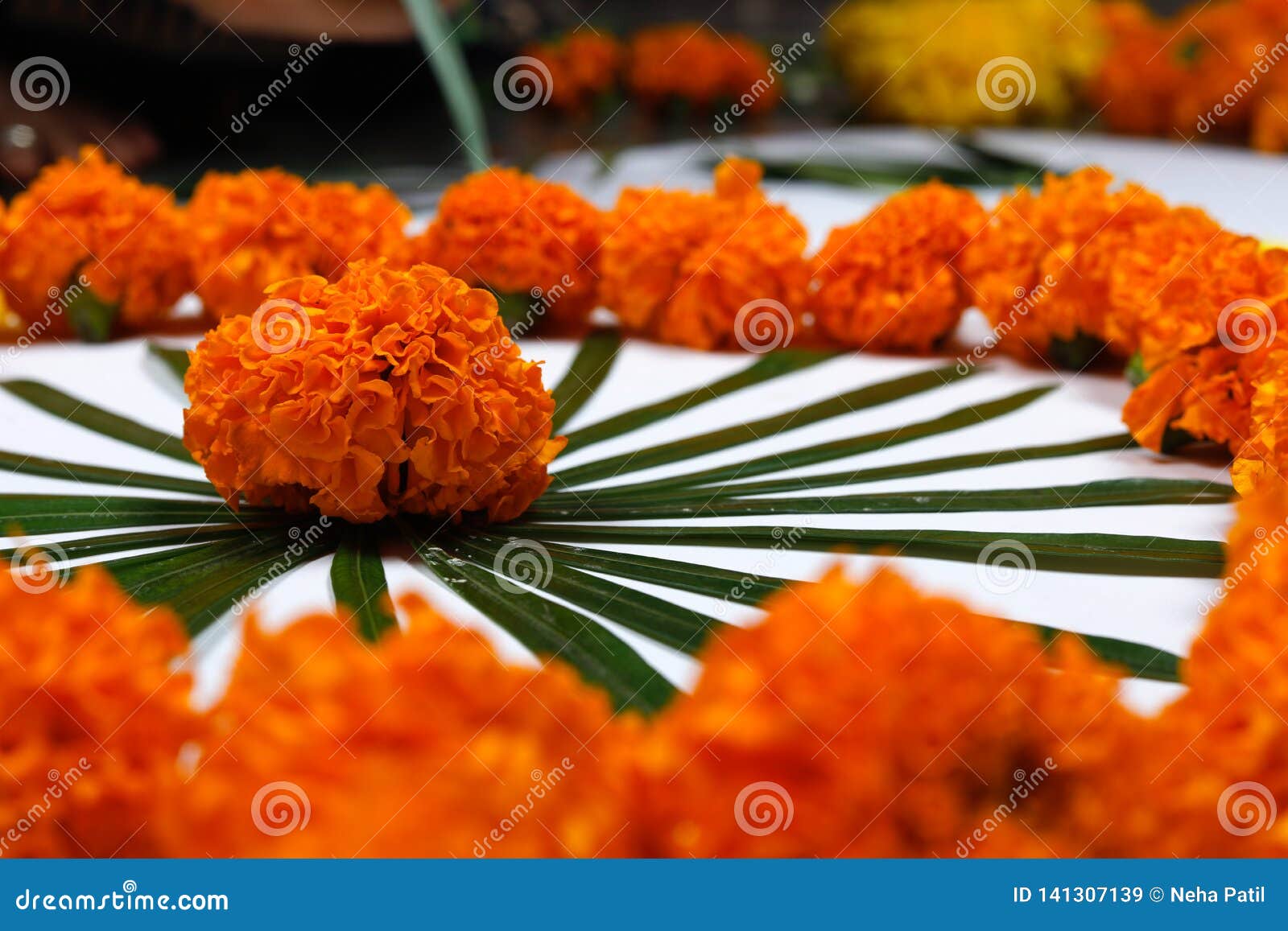 Marigold Flower Rangoli Design For Diwali Festival ...