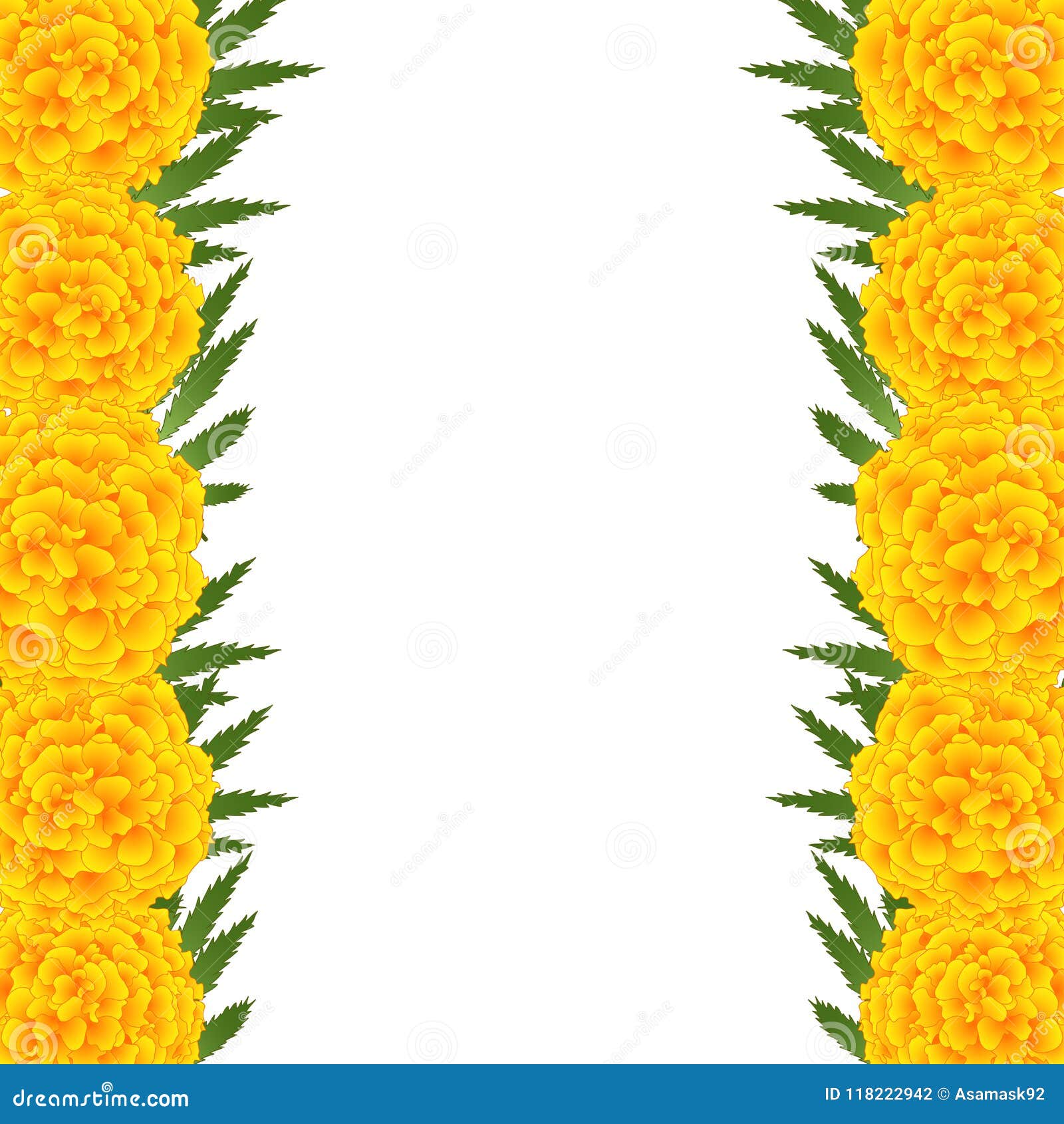 Marigold Flower - Tagetes Border Isolated on White Background. Vector  Illustration Stock Vector - Illustration of pattern, garland: 118222942