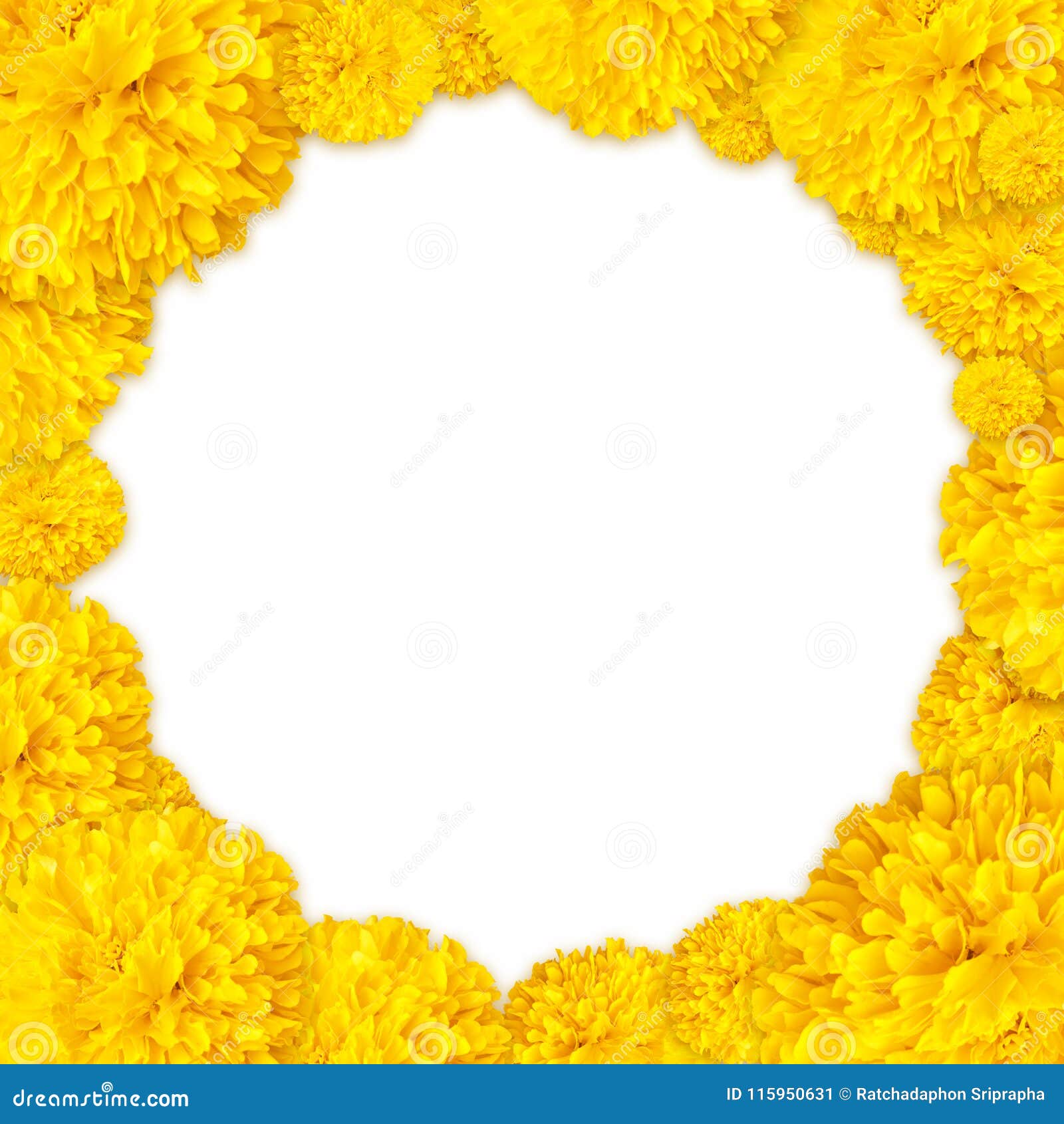 Marigold Flowers Stack As Frame Background Stock Image - Image of  createpattern, border: 115950631
