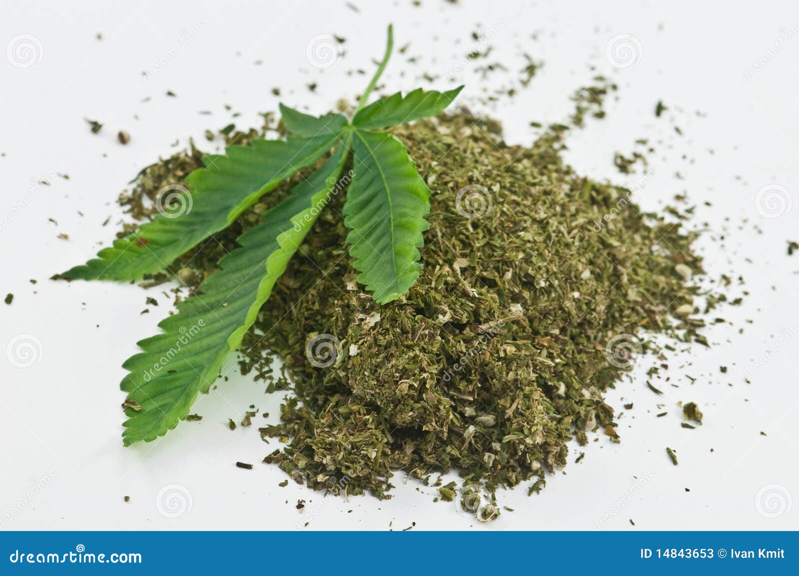 Image result for picture of marijuana
