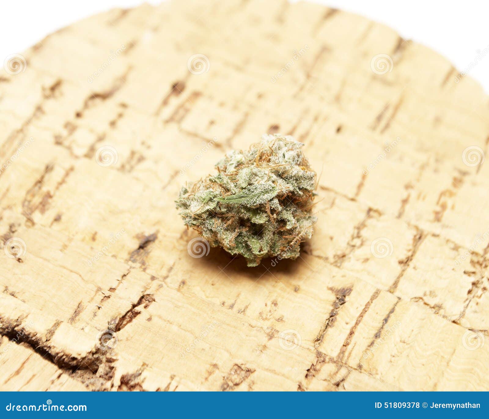 Marijuana stock photo. Image of leaf, medicinal, hashish 51809378