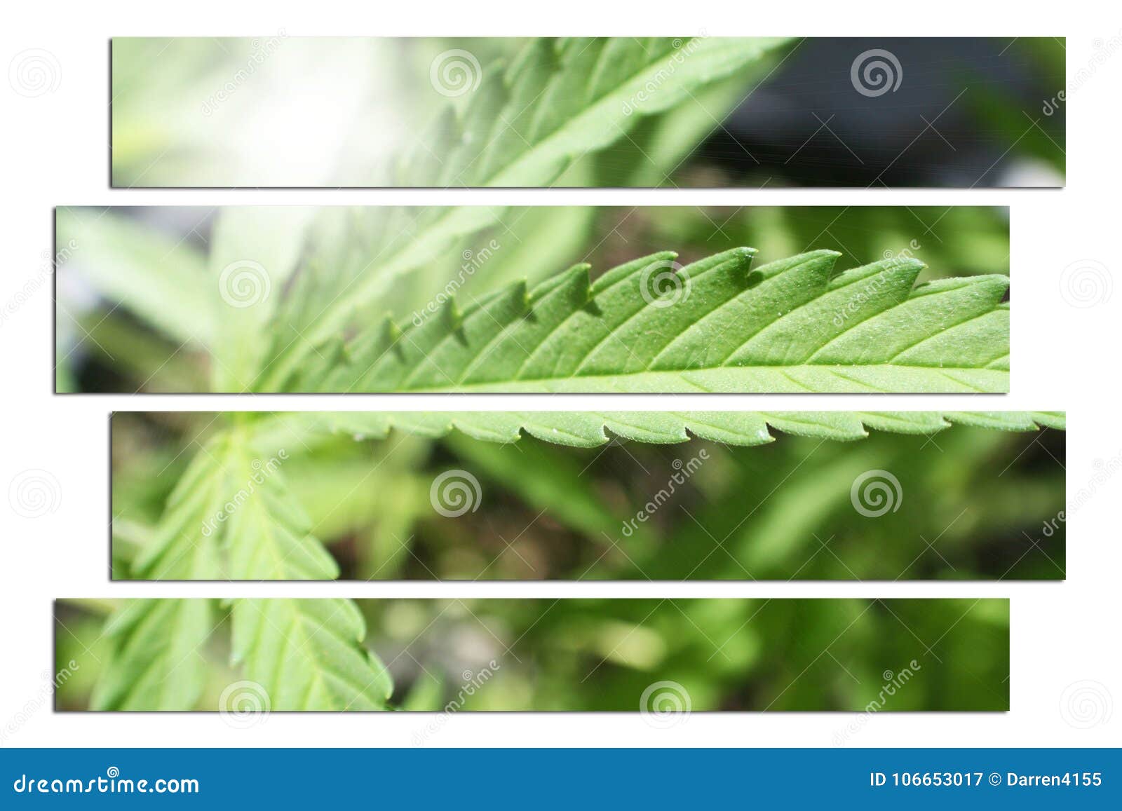 Marijuana Leaf Art High Quality Stock Image - Image of cash, joint ...