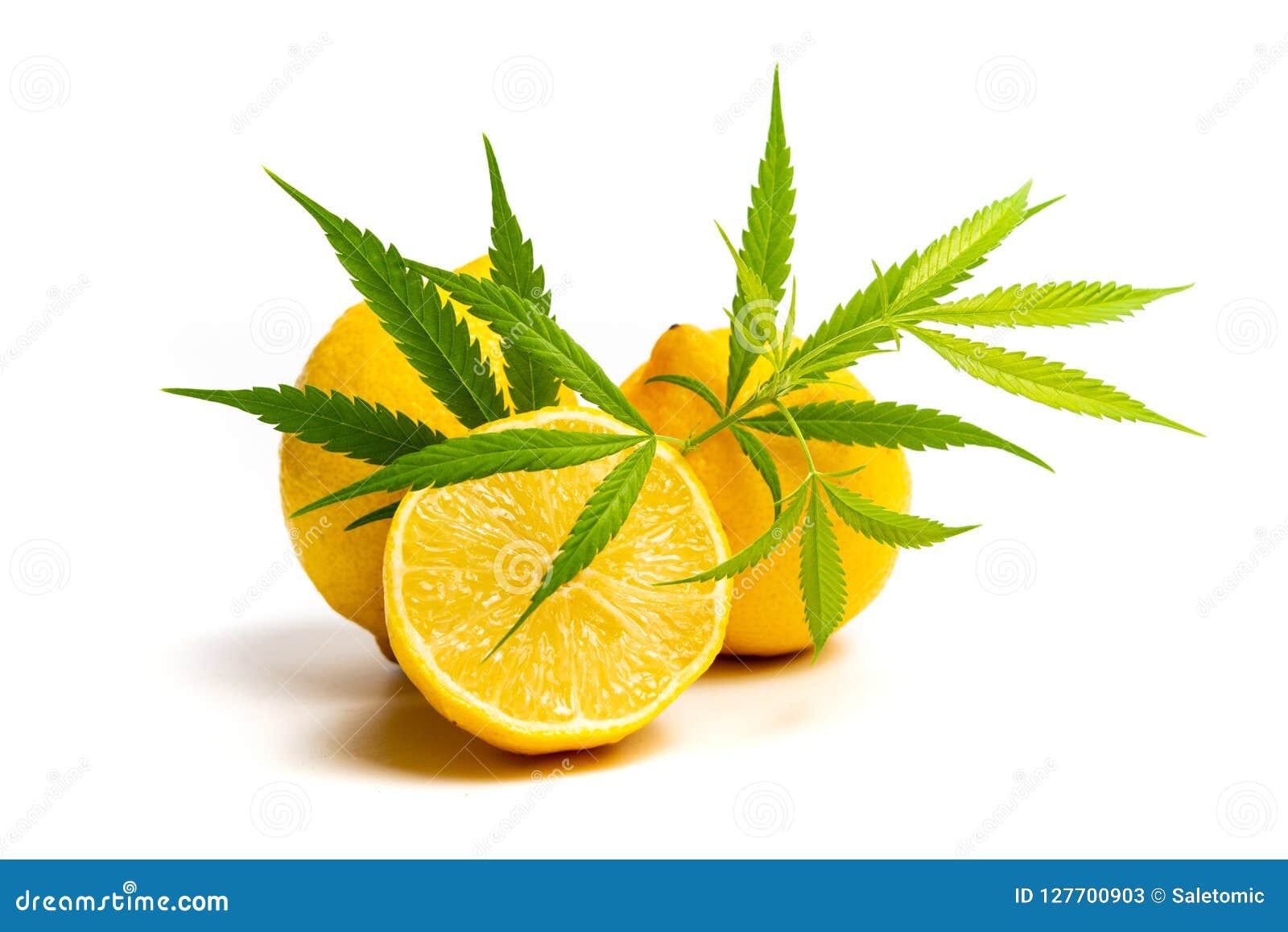 Marijuana Leaf and Lemon Isolated Stock Image Image of citrus, design