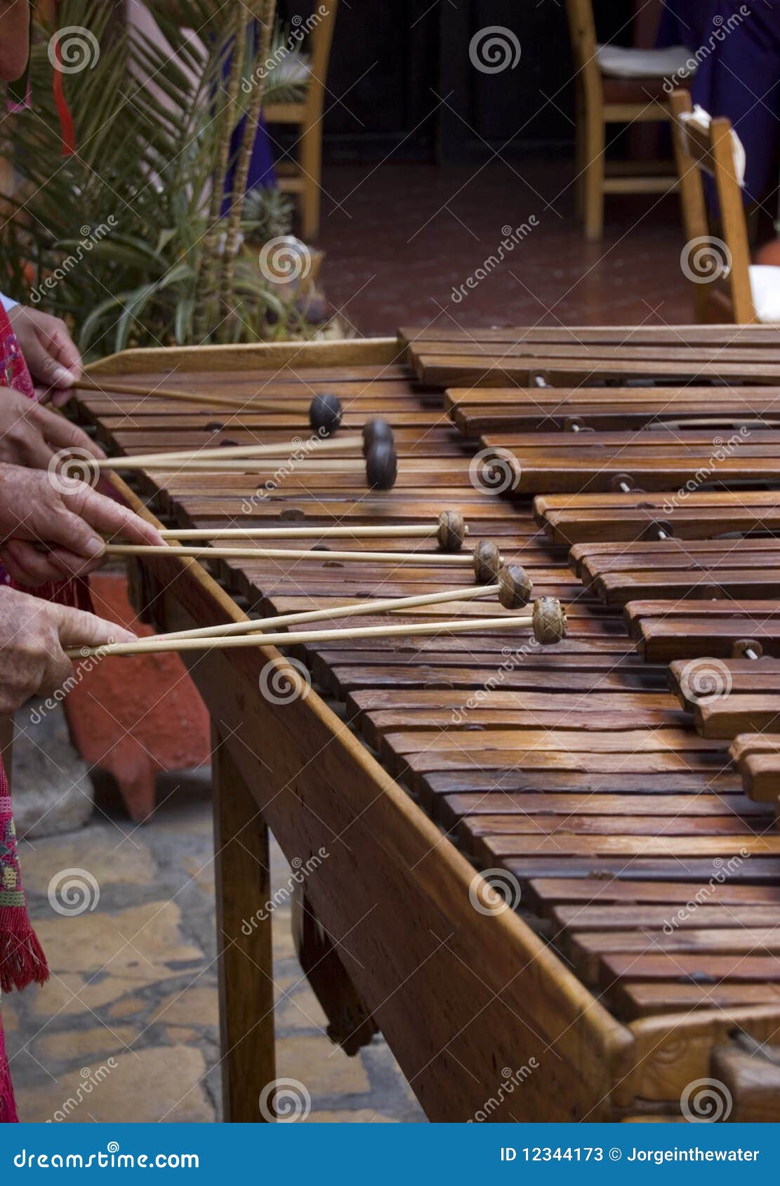 Marimba Players Stock Photos Image 12344173