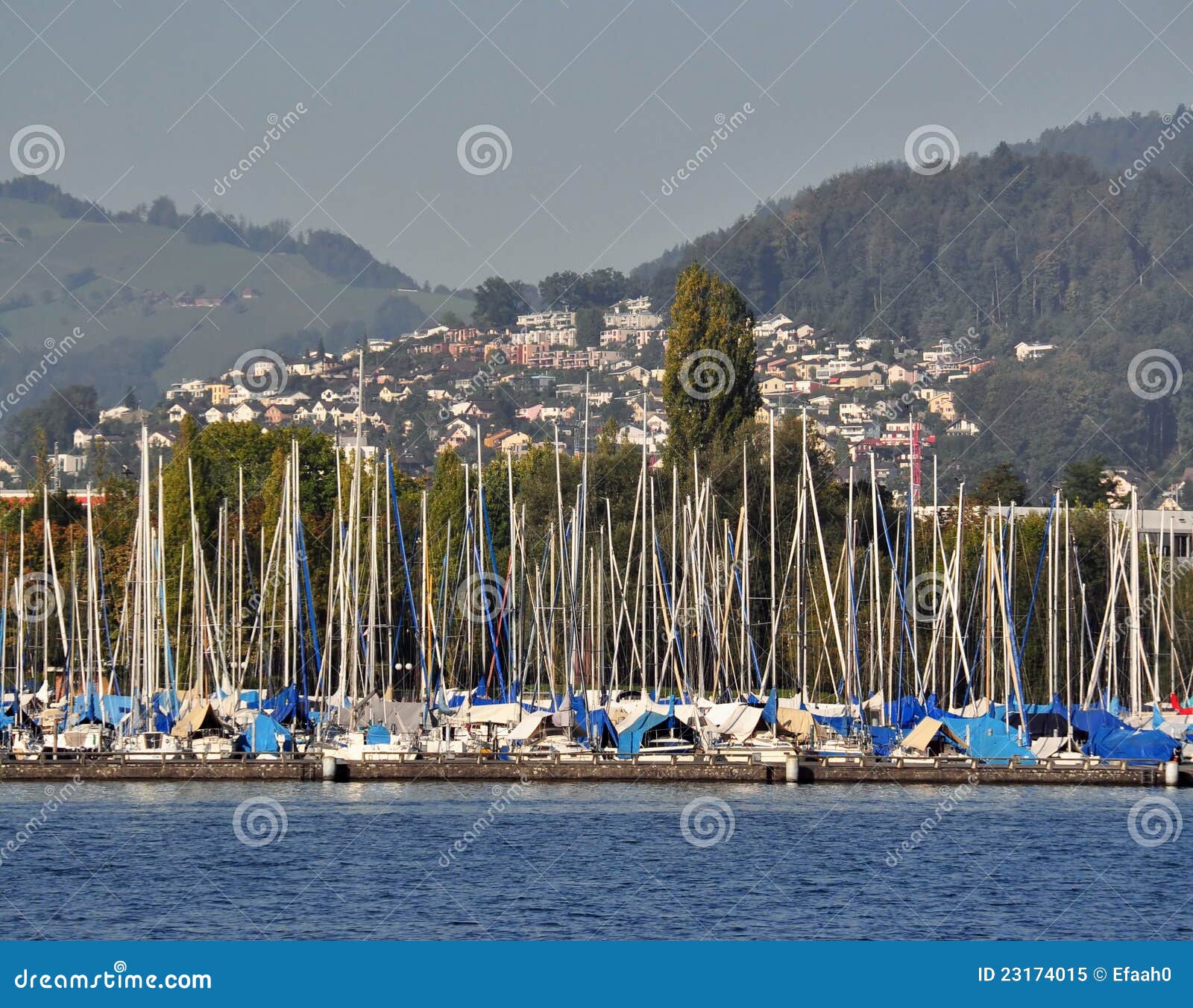 Marina on Lake Lucerne , Switzerland Stock Image Image of lake, lucerne 23174015