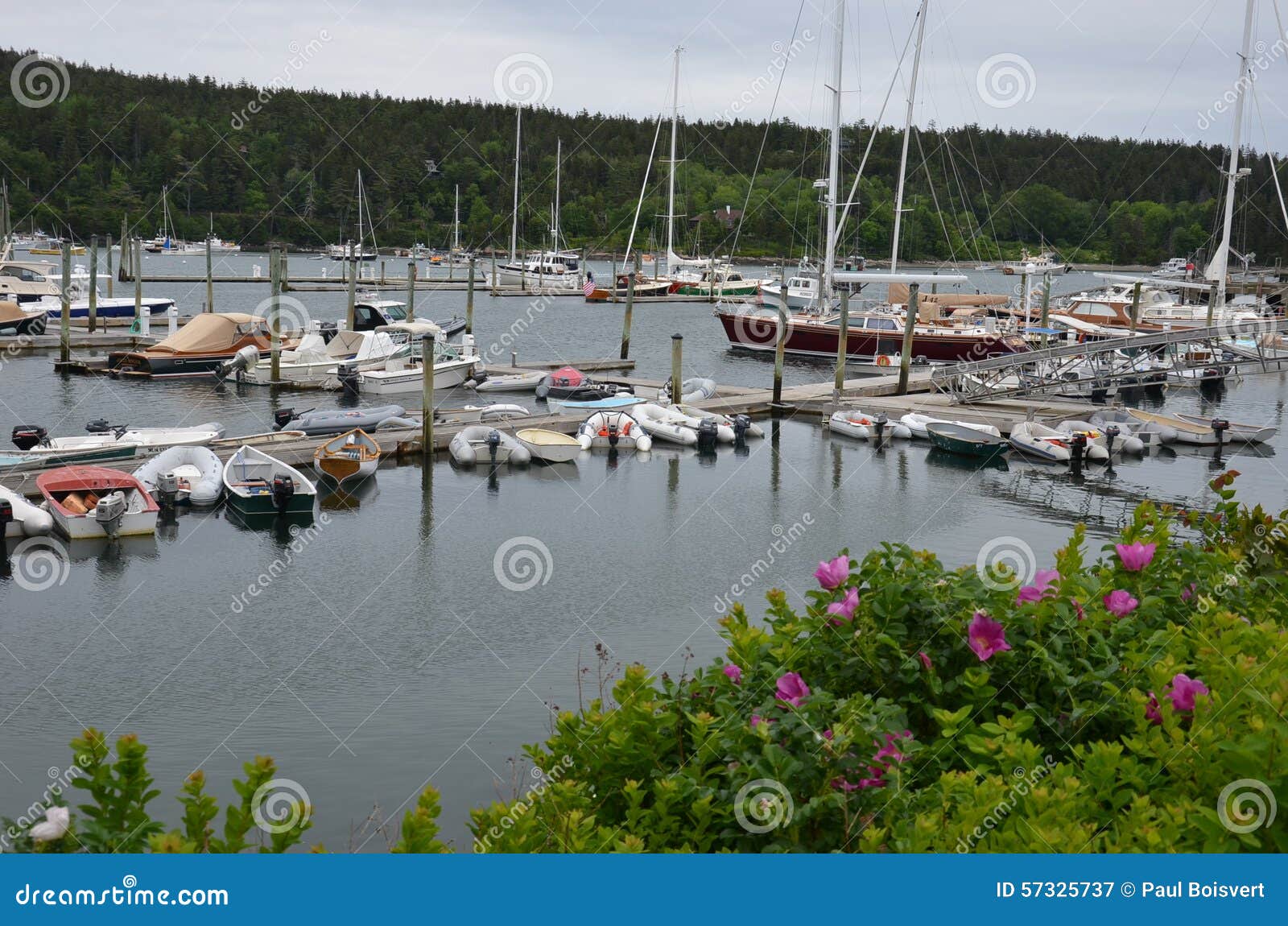 Marina on Maine Coast stock image. Image of coast, sailing 57325737