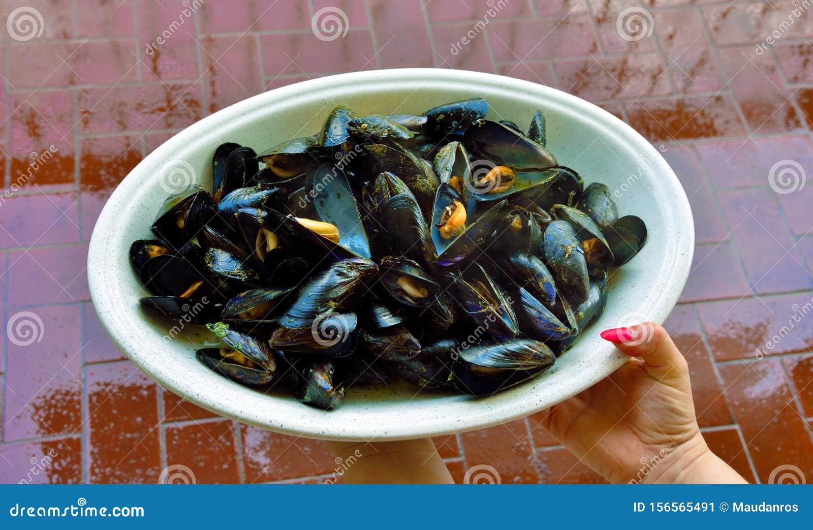 Marinara mussels cooked stock image. Image of gourmet 156565491