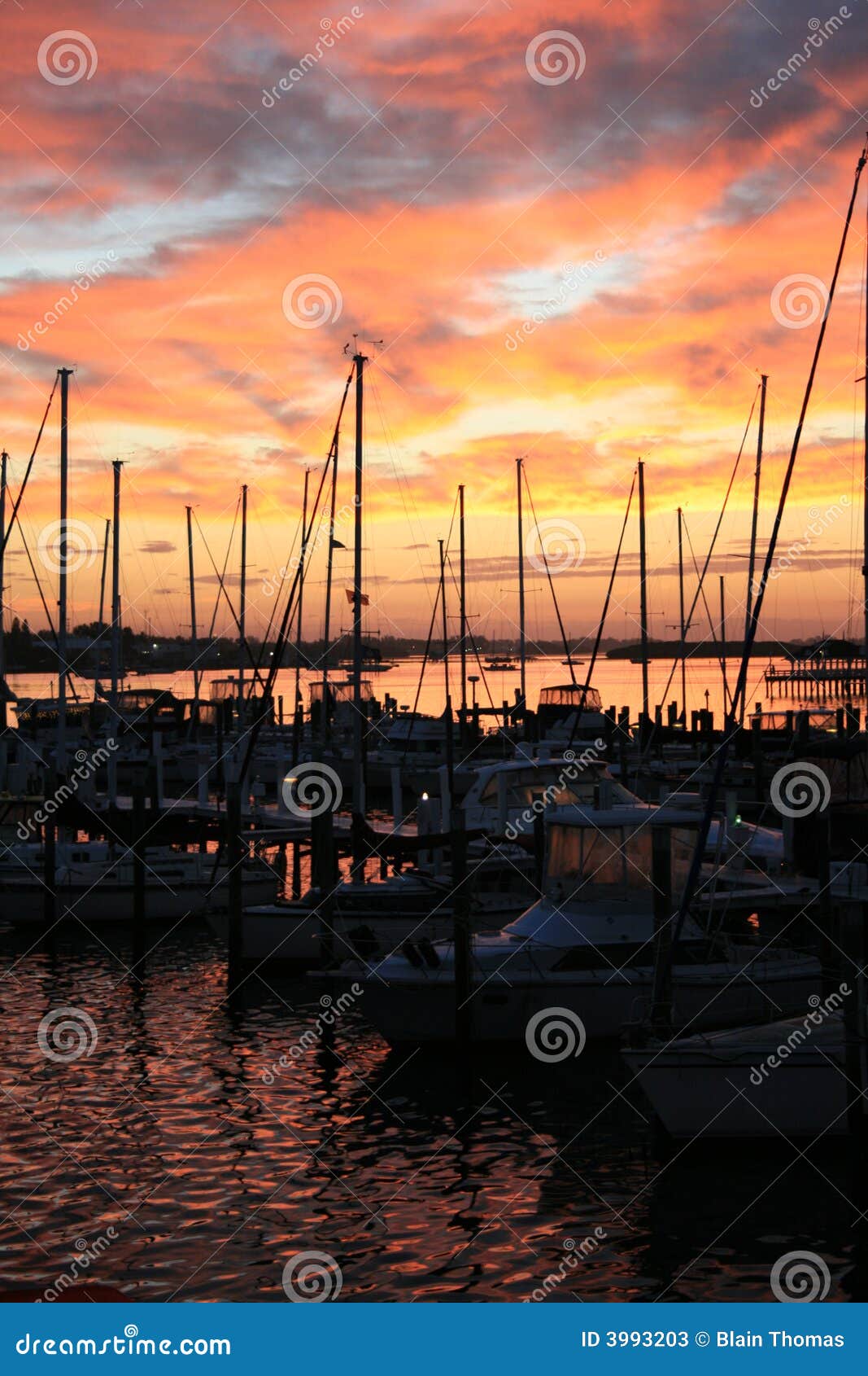 Marinasoluppgång. Vatten för soluppgång för morgon för marina för castsflorida glöd perfekt skjutit södra spektakulärt