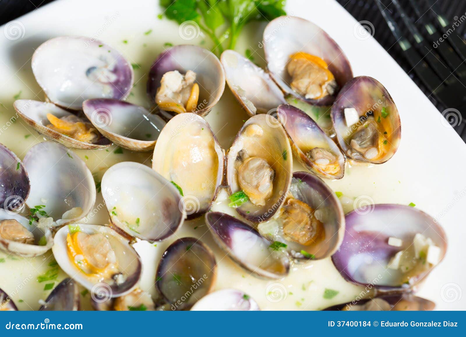 Marinated clams stock photo. Image of nature, lunch, cooked 37400184