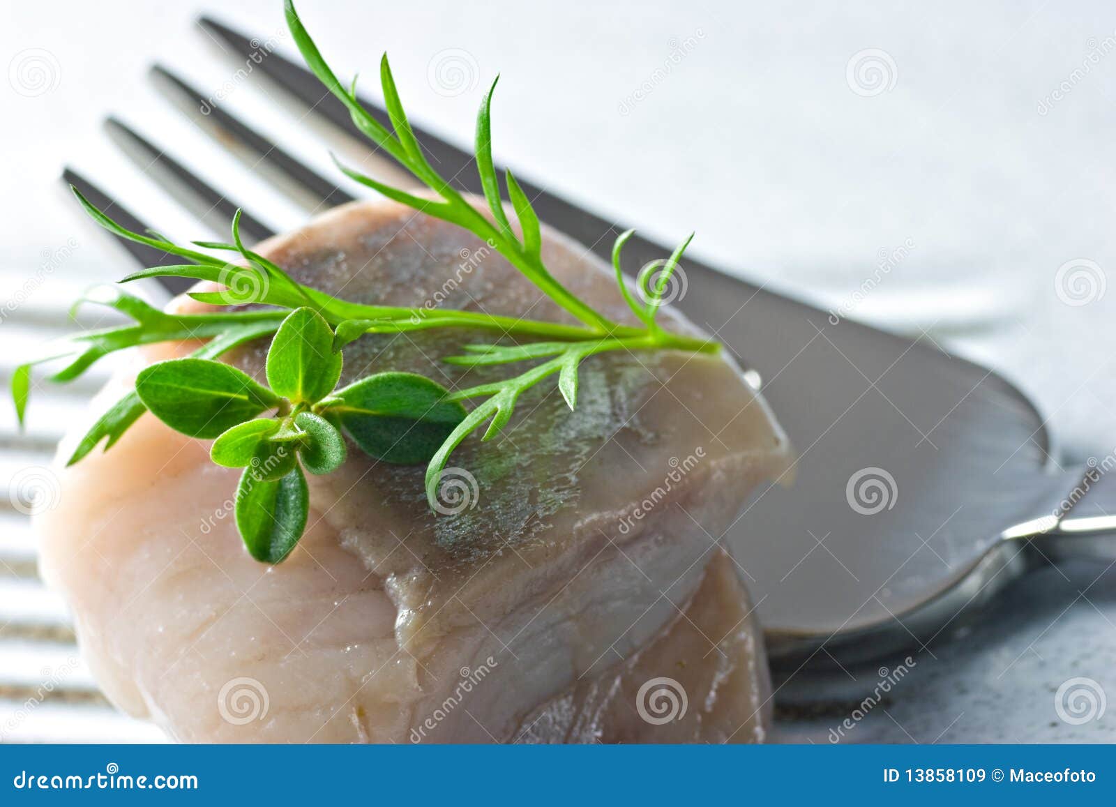 Marinated fish stock image. Image of healthy, ingredient 13858109