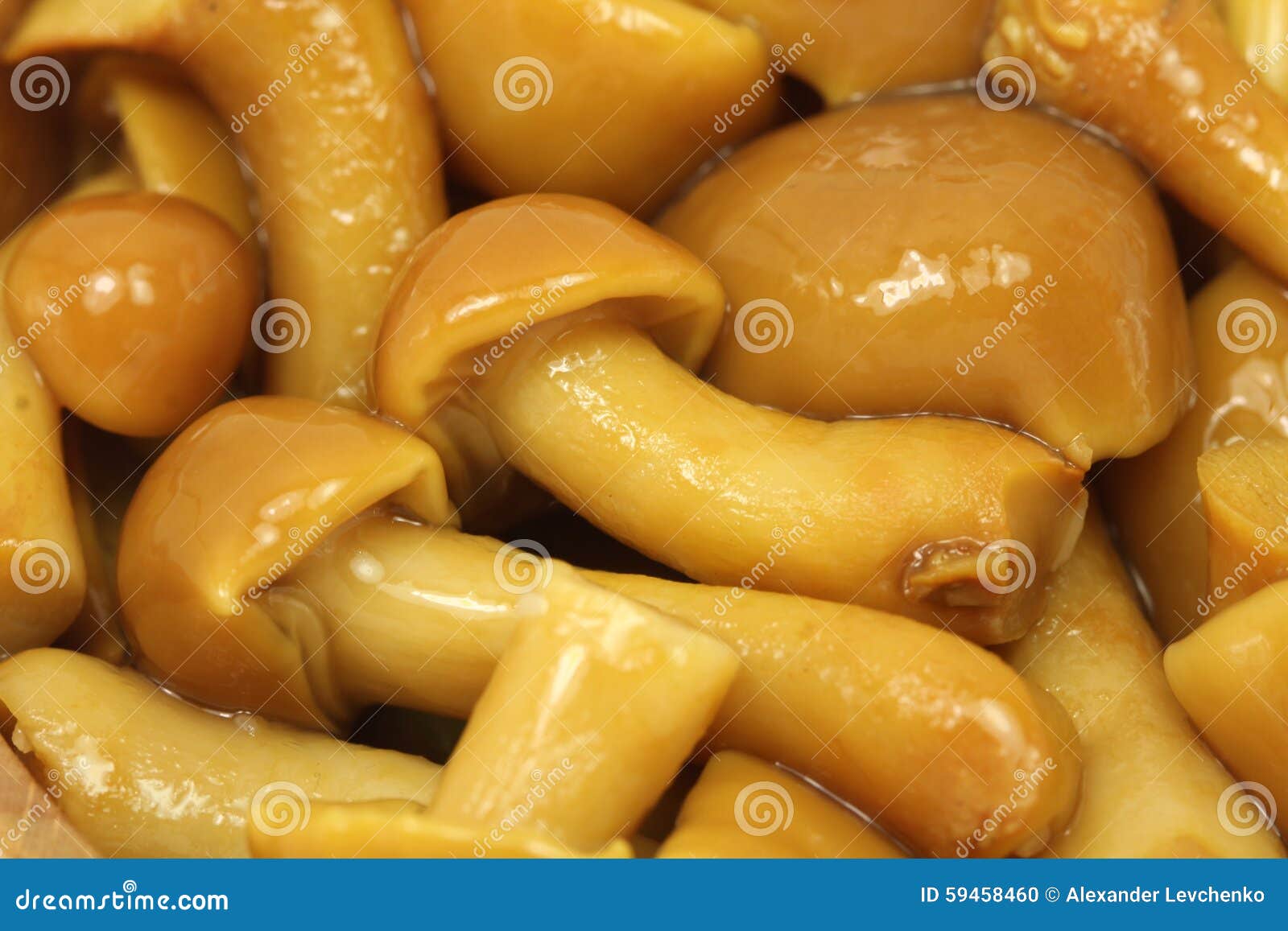 Marinated Honey Mushrooms Background Stock Photo Image of protein
