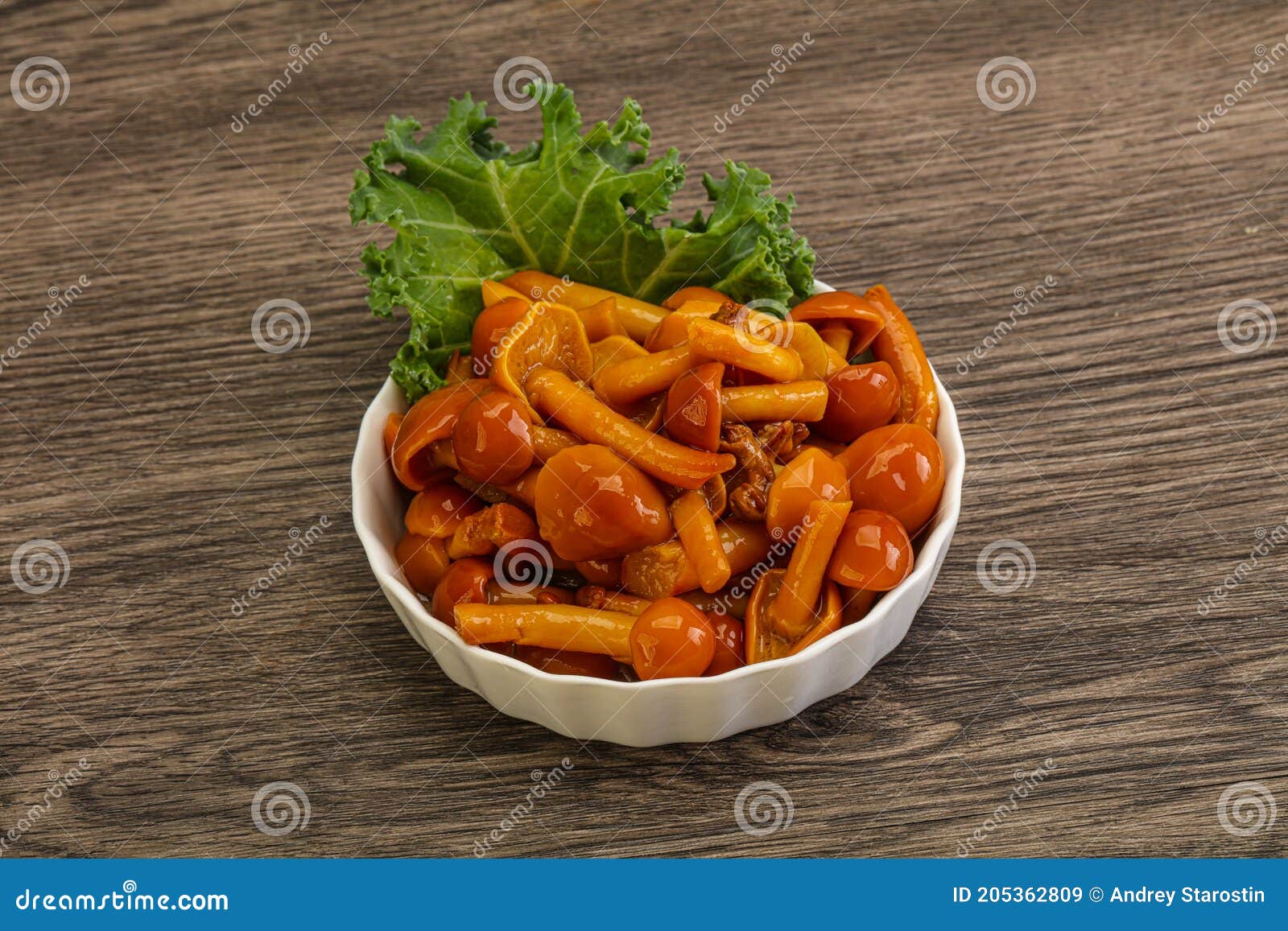 Marinated Mushroom Honey Agaric in the Bowl Stock Image Image of