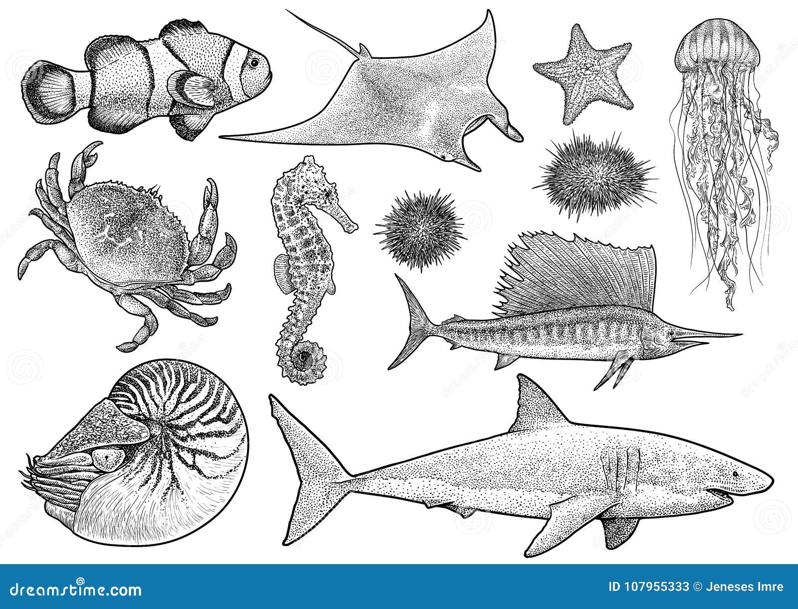 Details more than 162 marine life drawing super hot