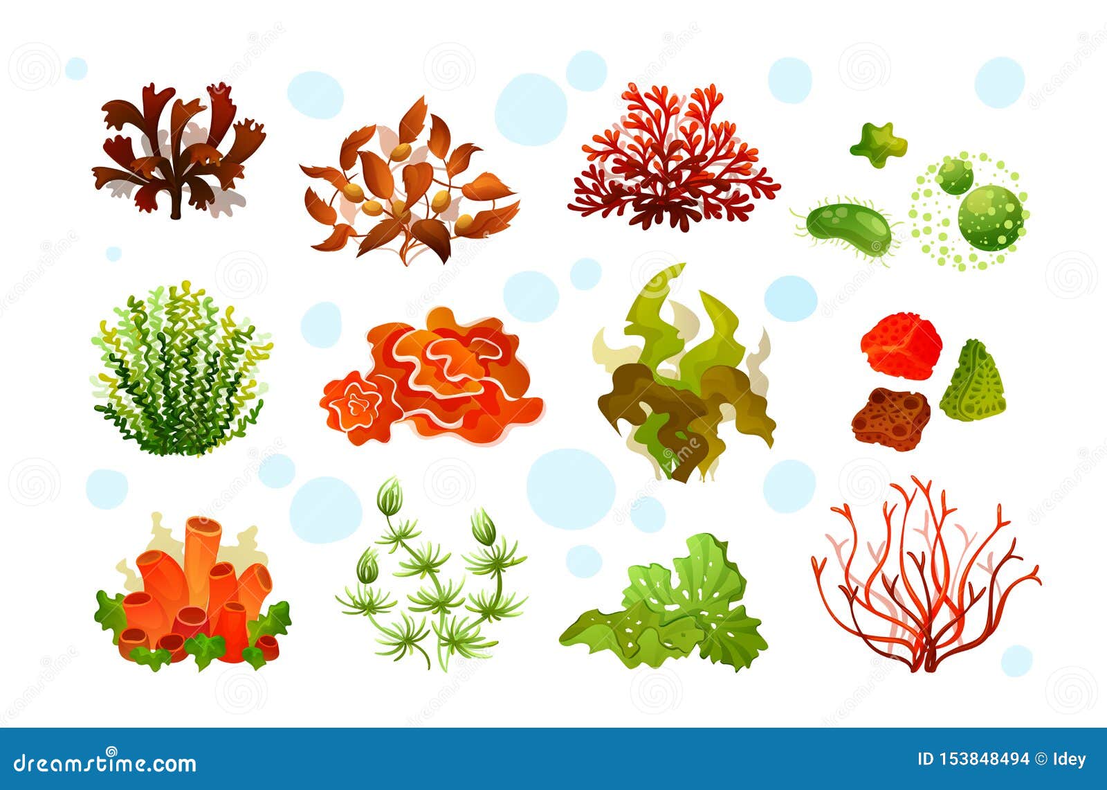 Premium Vector | Set of marine vector plants hand drawn algae