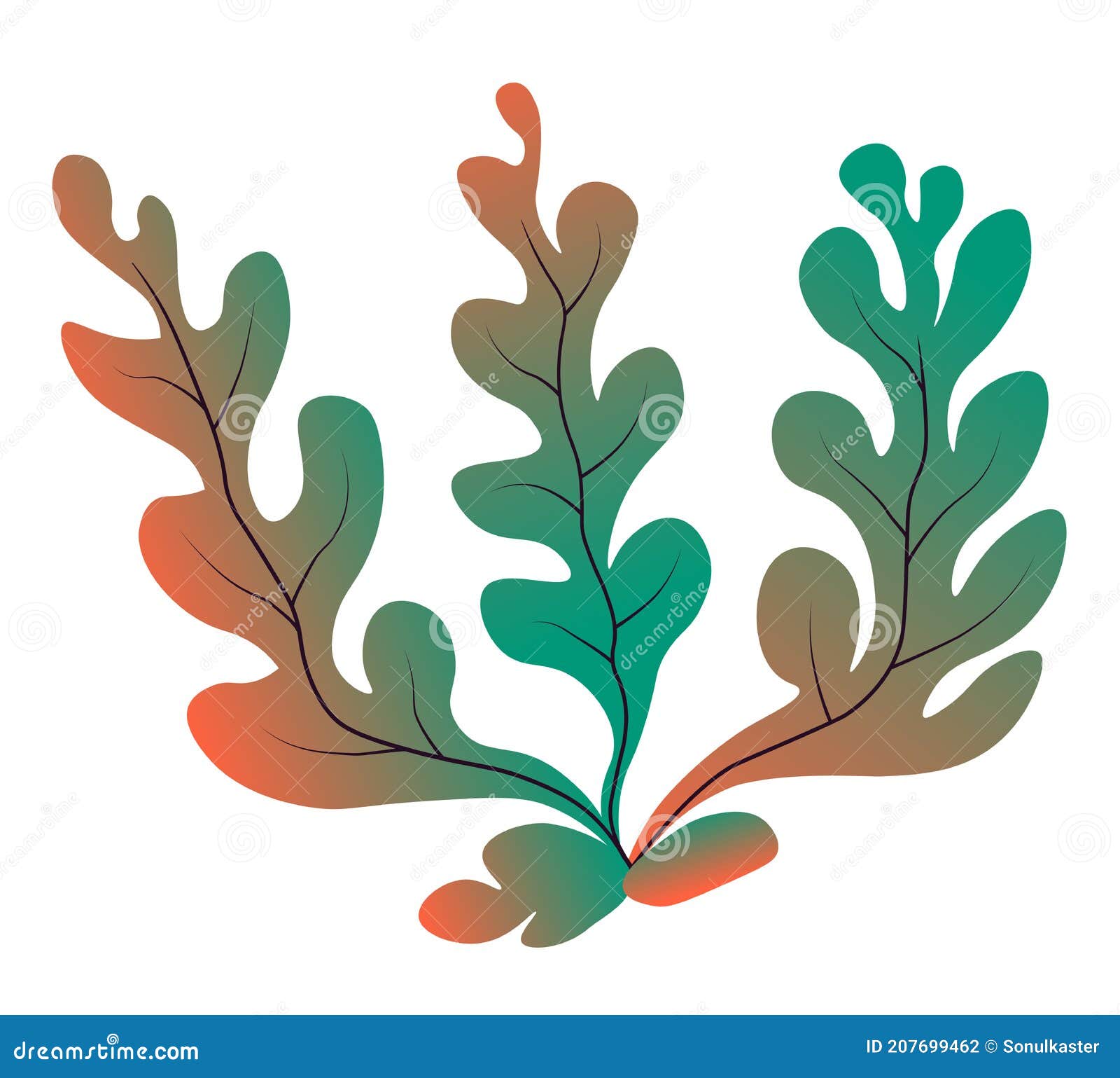 Marine Botany and Seaweed, Decor for Aquarium Stock Illustration