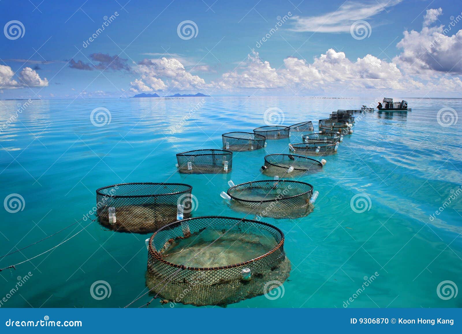 marine fishery on turquoise sea