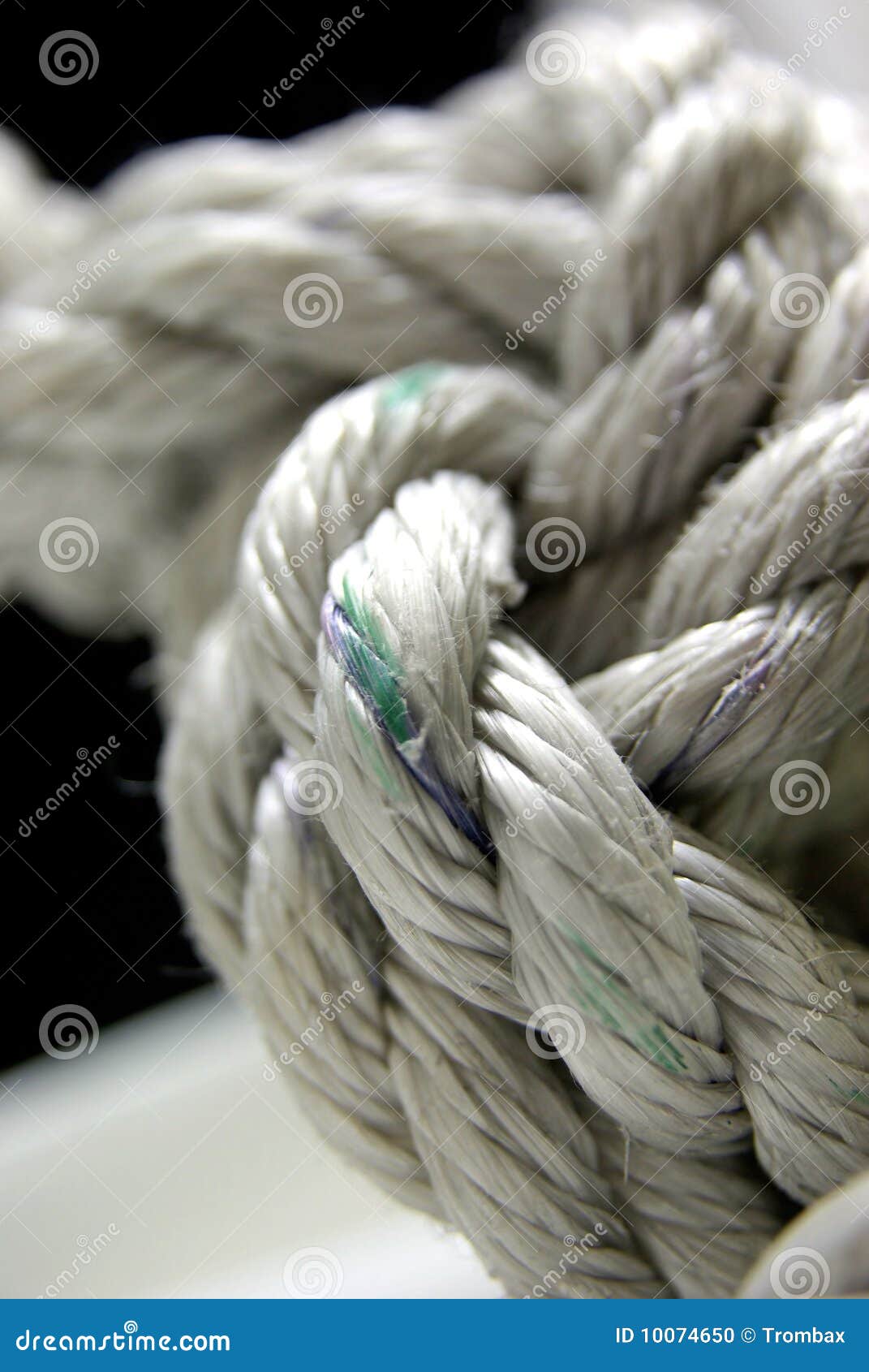 Marine Knot RoyaltyFree Stock Image 36244948