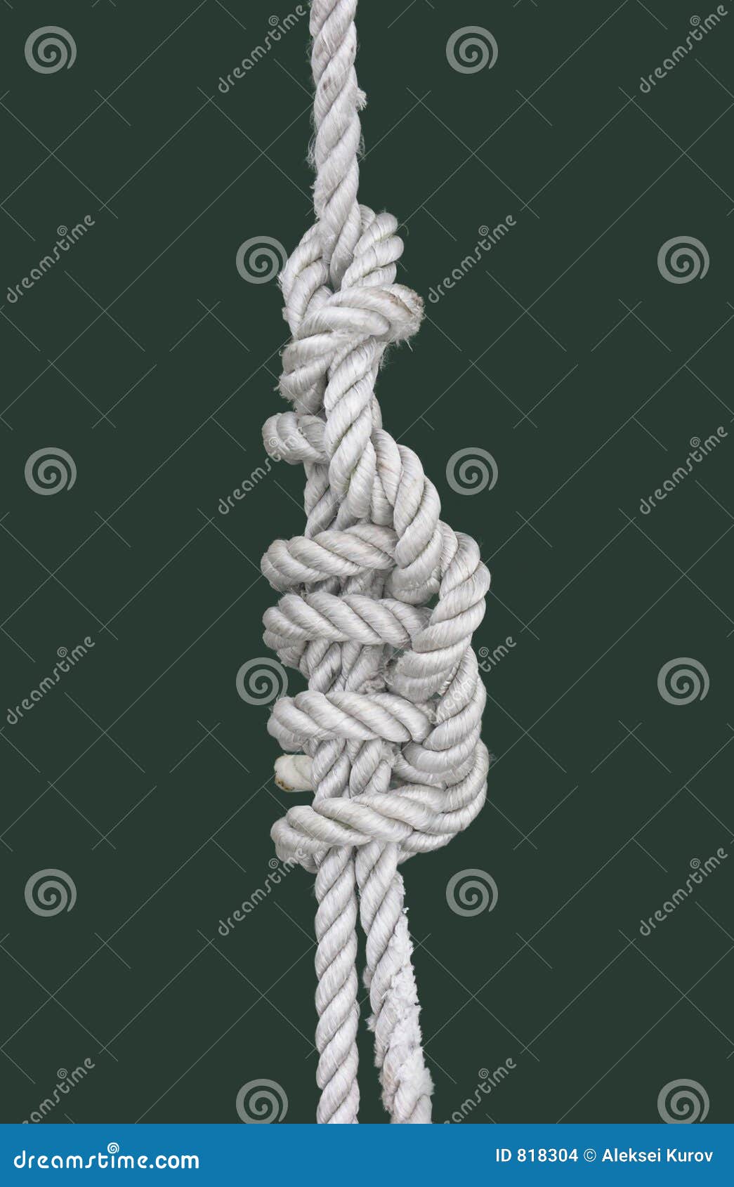 Marine knot stock photo. Image of cord, trot, object, peoples 818304