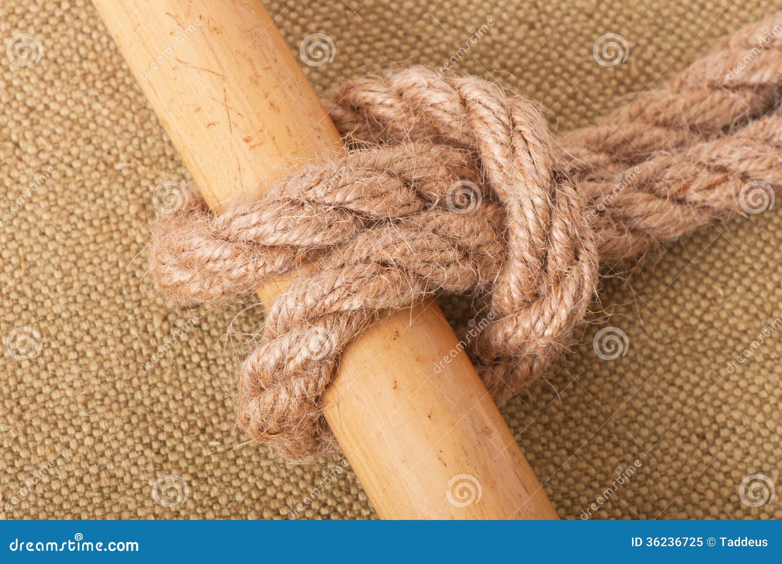Marine knot stock image. Image of bamboo, single, sport 36236725