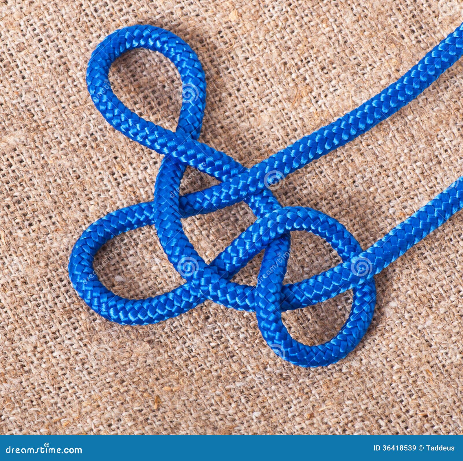 Marine knot stock image. Image of education, knot, frame 36418539