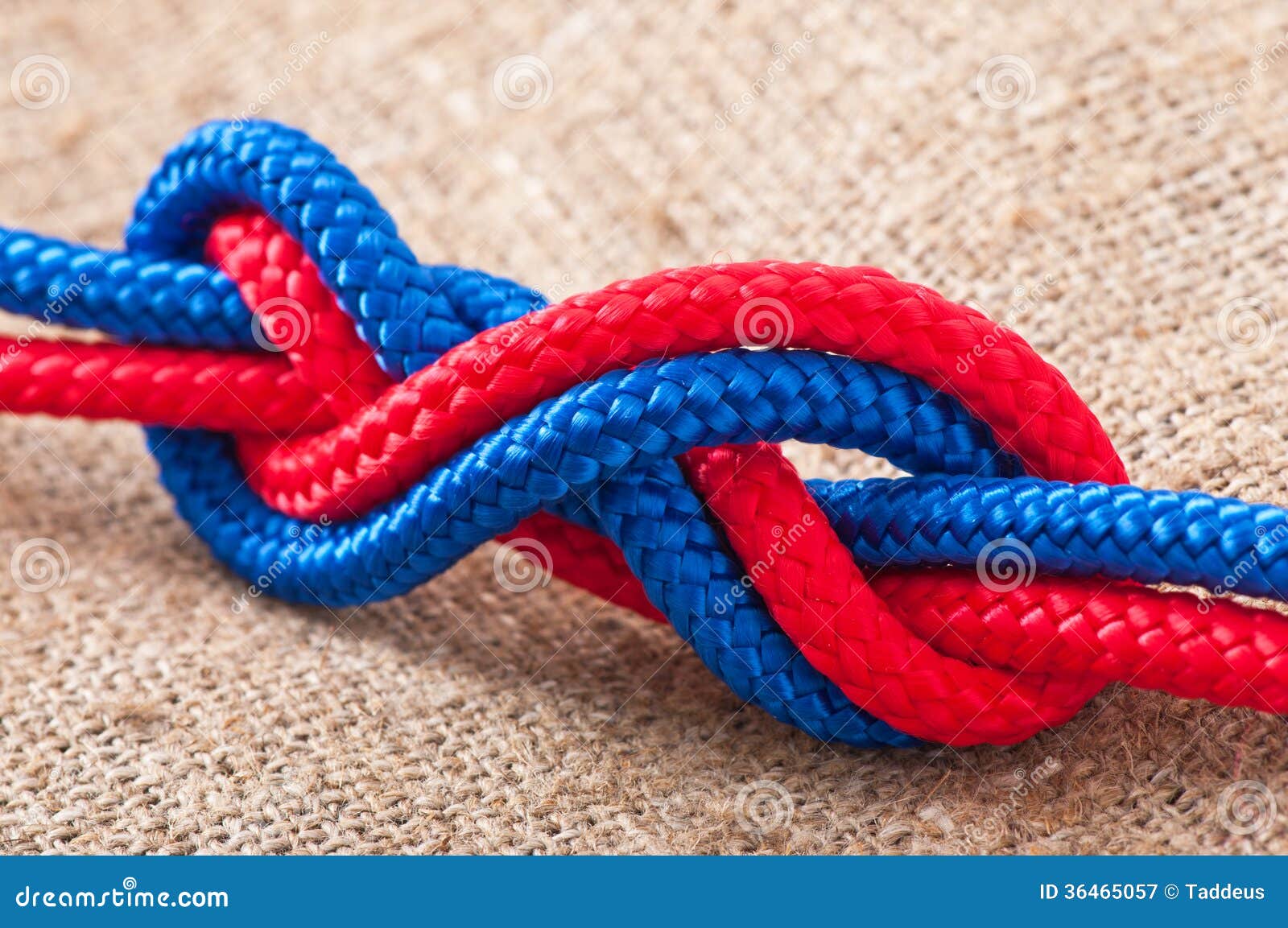 Marine knot stock image. Image of business, rope, fabric 36465057