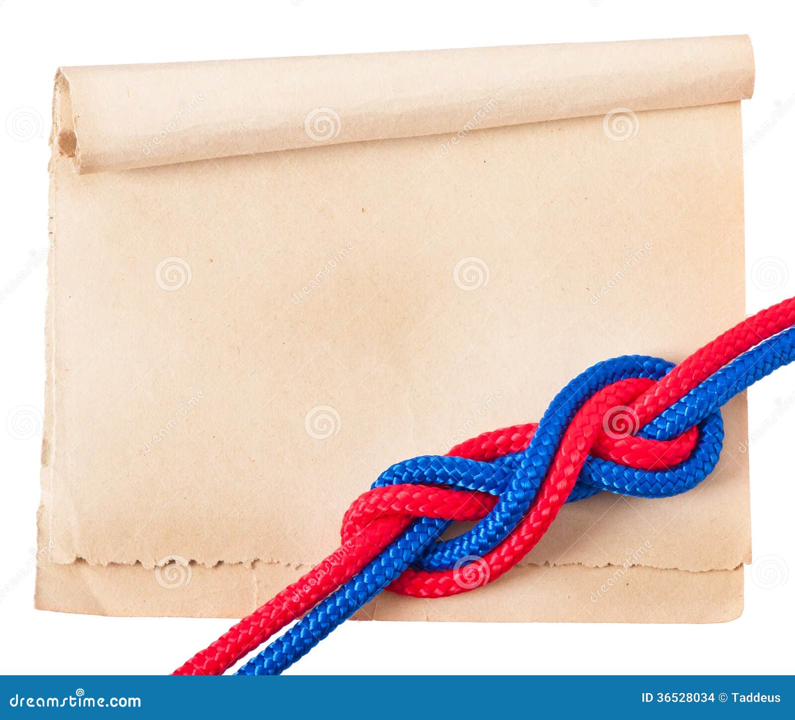 Marine knot stock photo. Image of knot, business, education 36528034