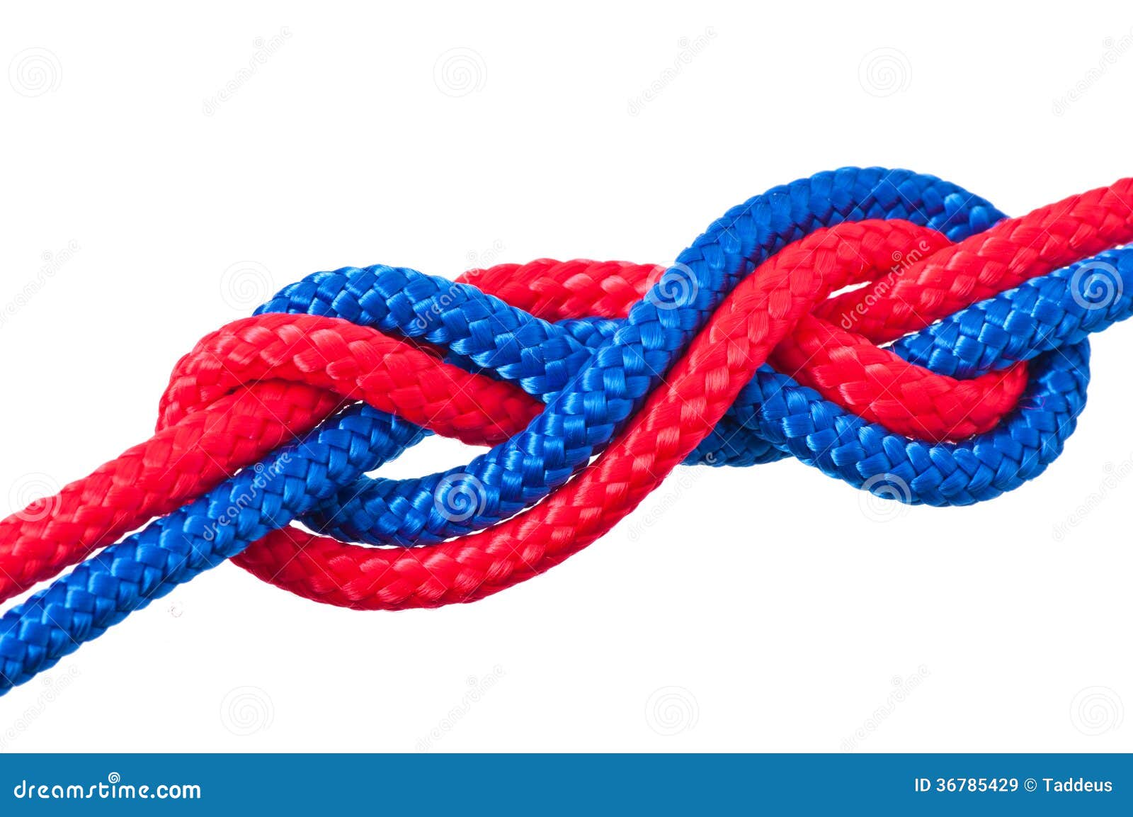 Marine knot stock image. Image of rope, business, knot 36785429