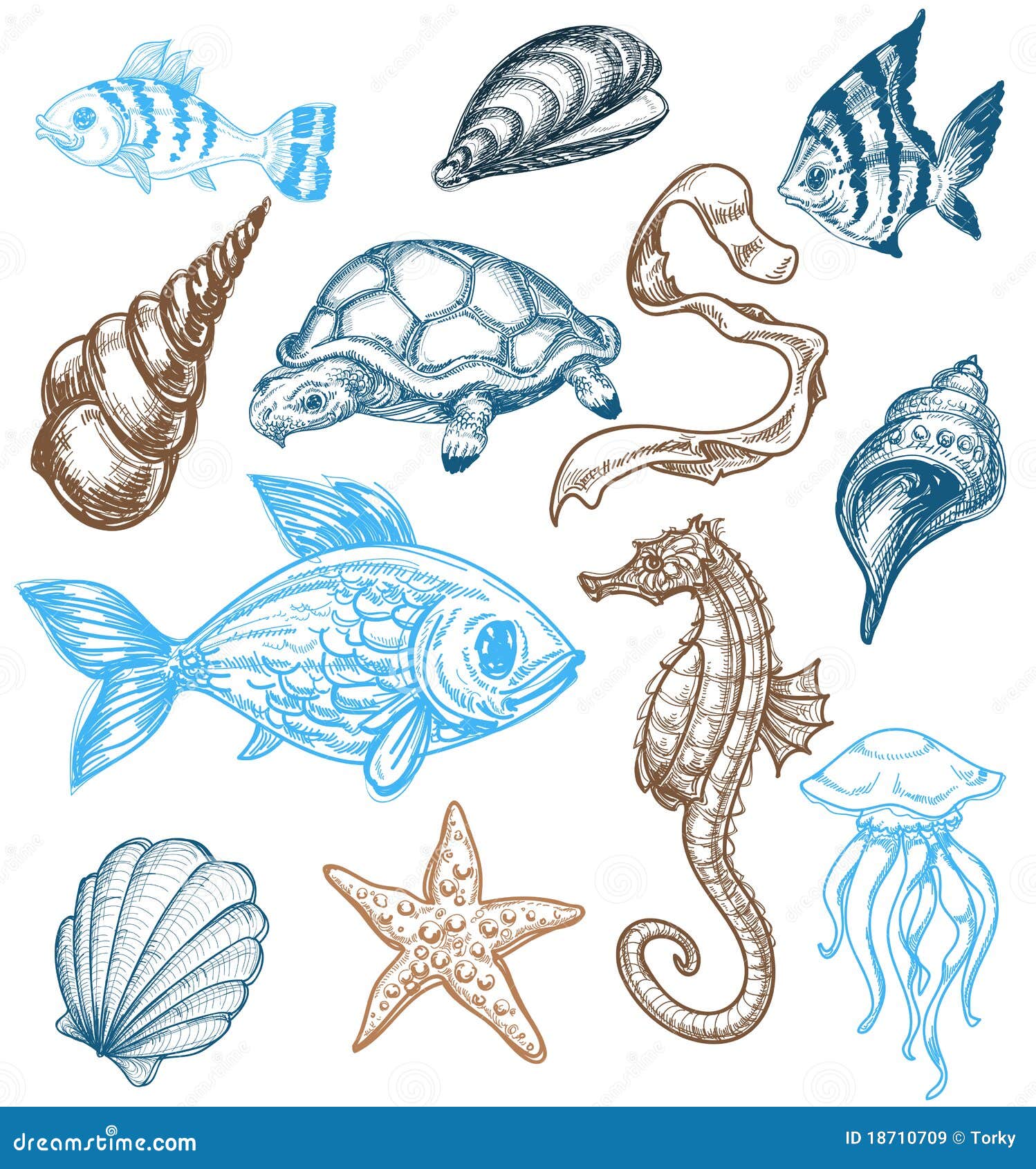 clipart sea life animals - photo #50