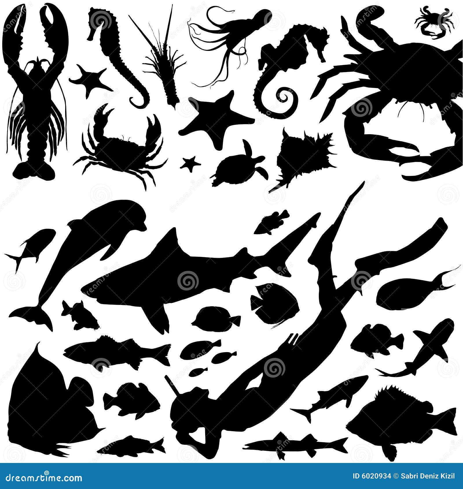 Marine life vector stock vector. Illustration of ocean - 6020934