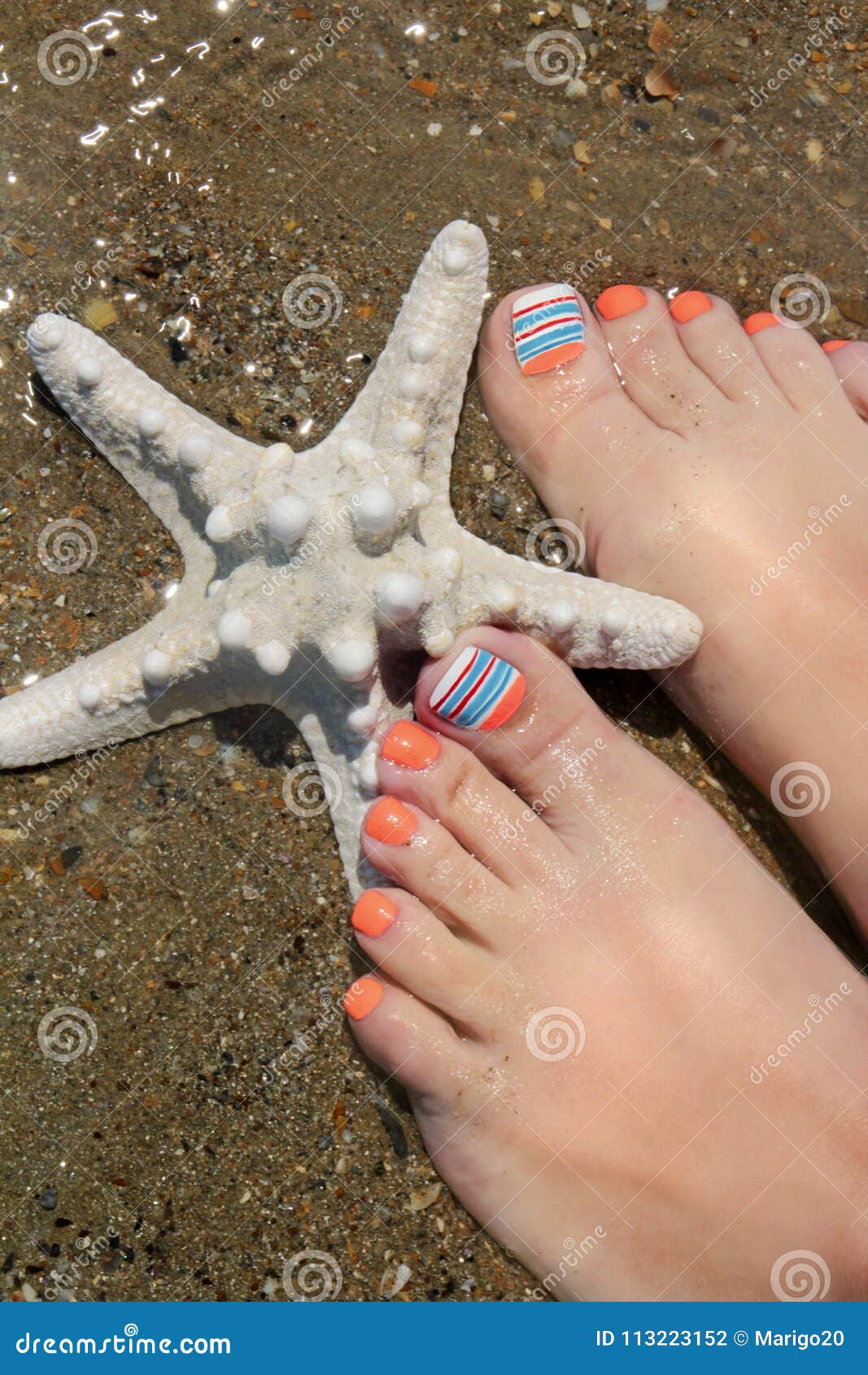 marine nail design marine nail design pedicure orange blue nail polish woman s leg close up starfish background 113223152
