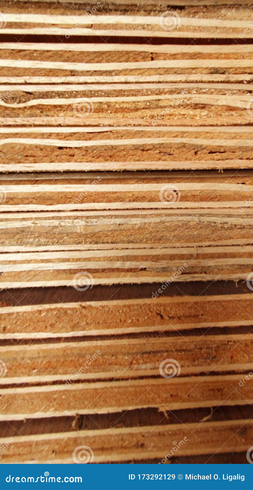 Marine Plywood Piled at Hardware Store Stock Image Image of marine, store 173292129