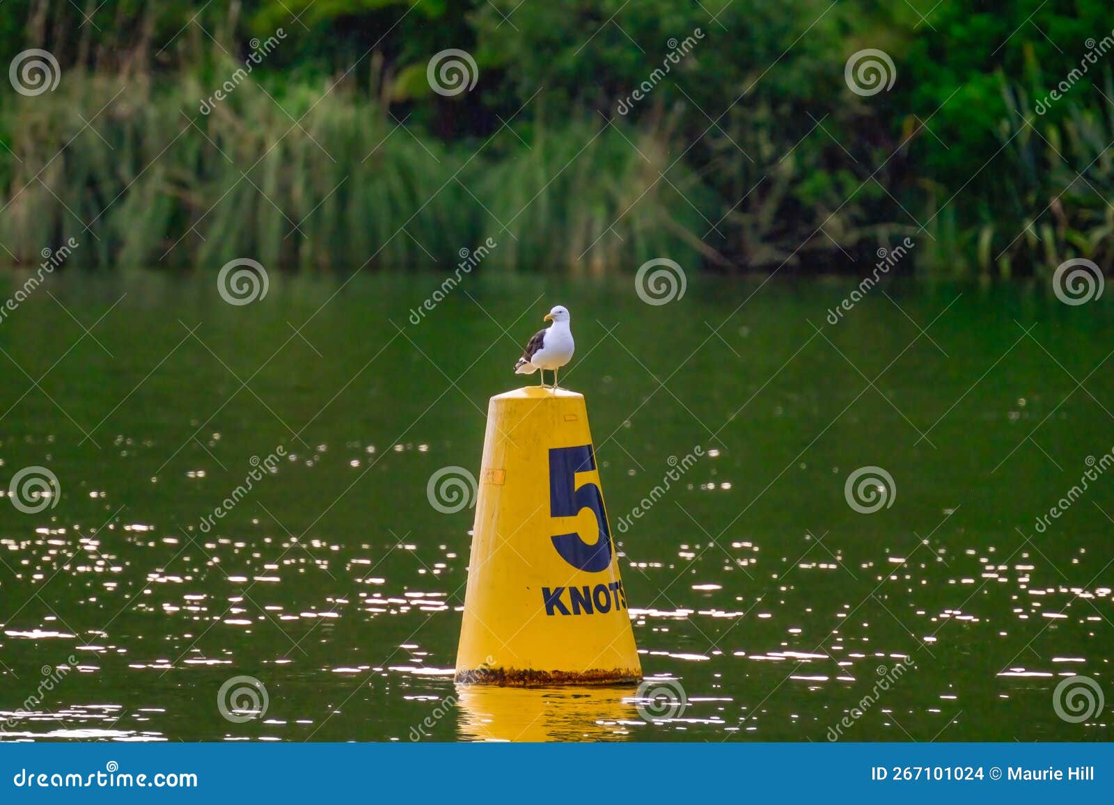 marine traffic sign with seagull