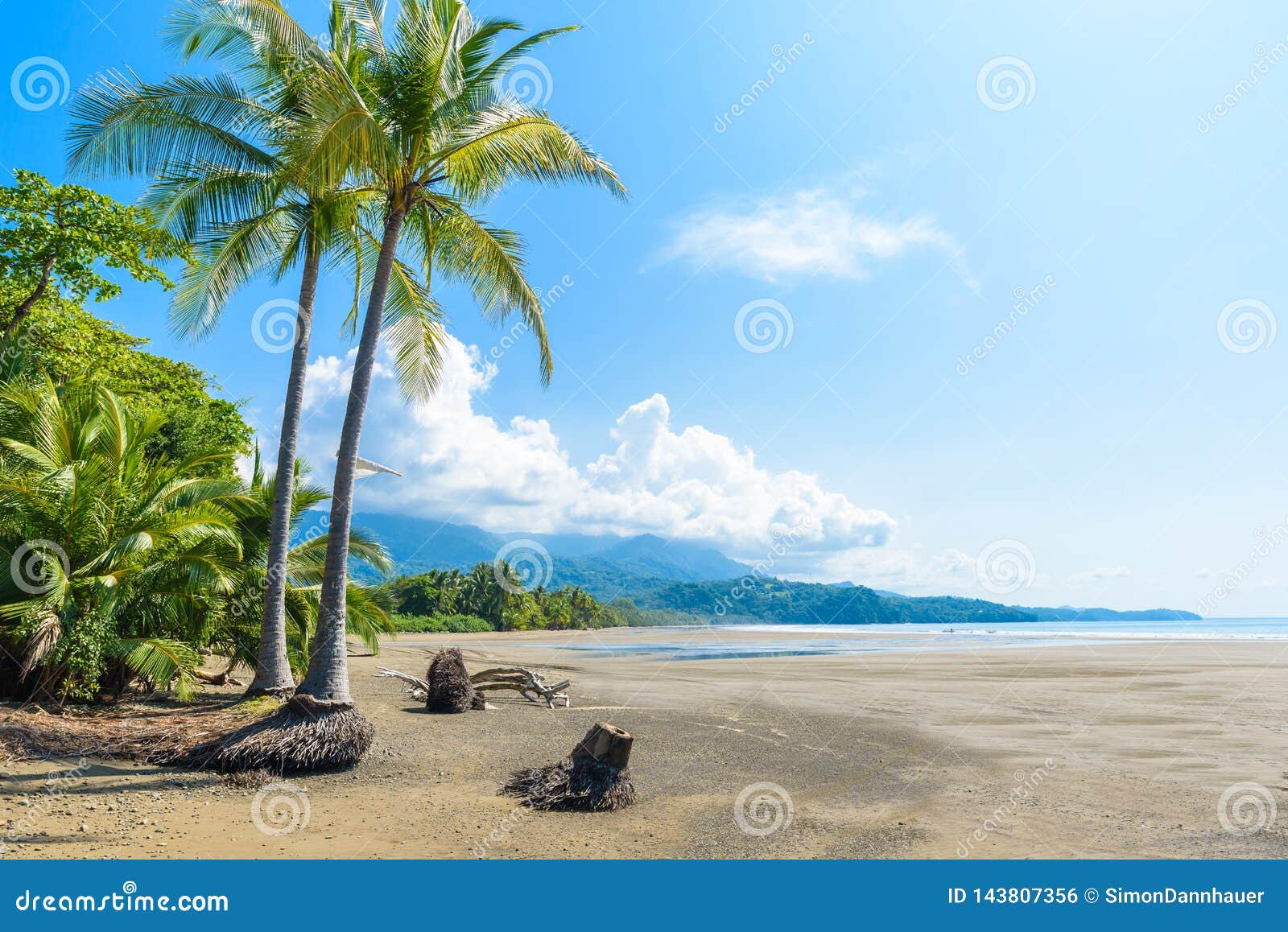 marino ballena national park in uvita - punta uvita - beautiful beaches and tropical forest at pacific coast of costa rica