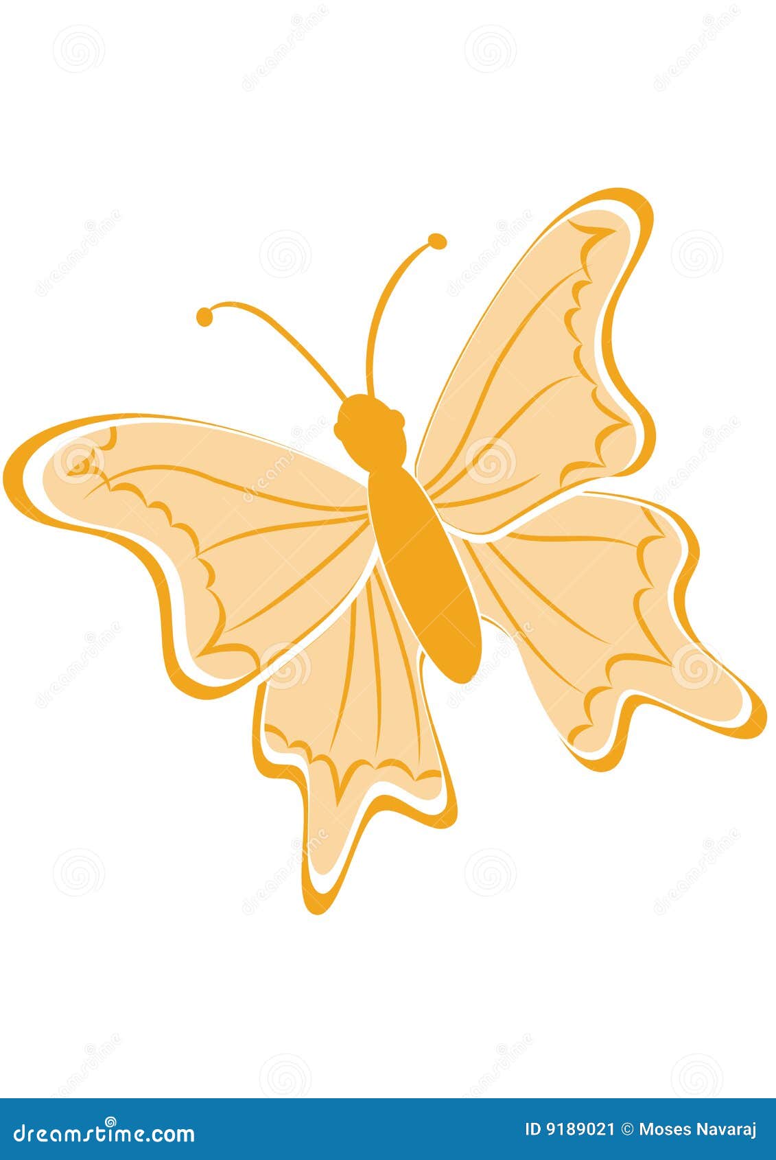 Mariposa stock de ilustración. Ilustración de insectos - 9189021, image size:1131x1690