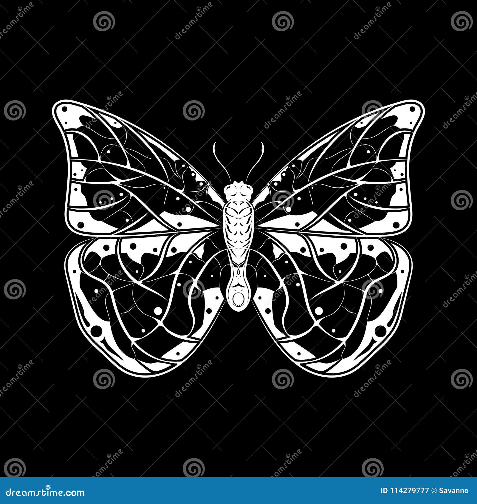 Mariposa Dibujo Blanco En Fondo Negro Ilustración del Vector - Ilustración  de verano, negro: 114279777