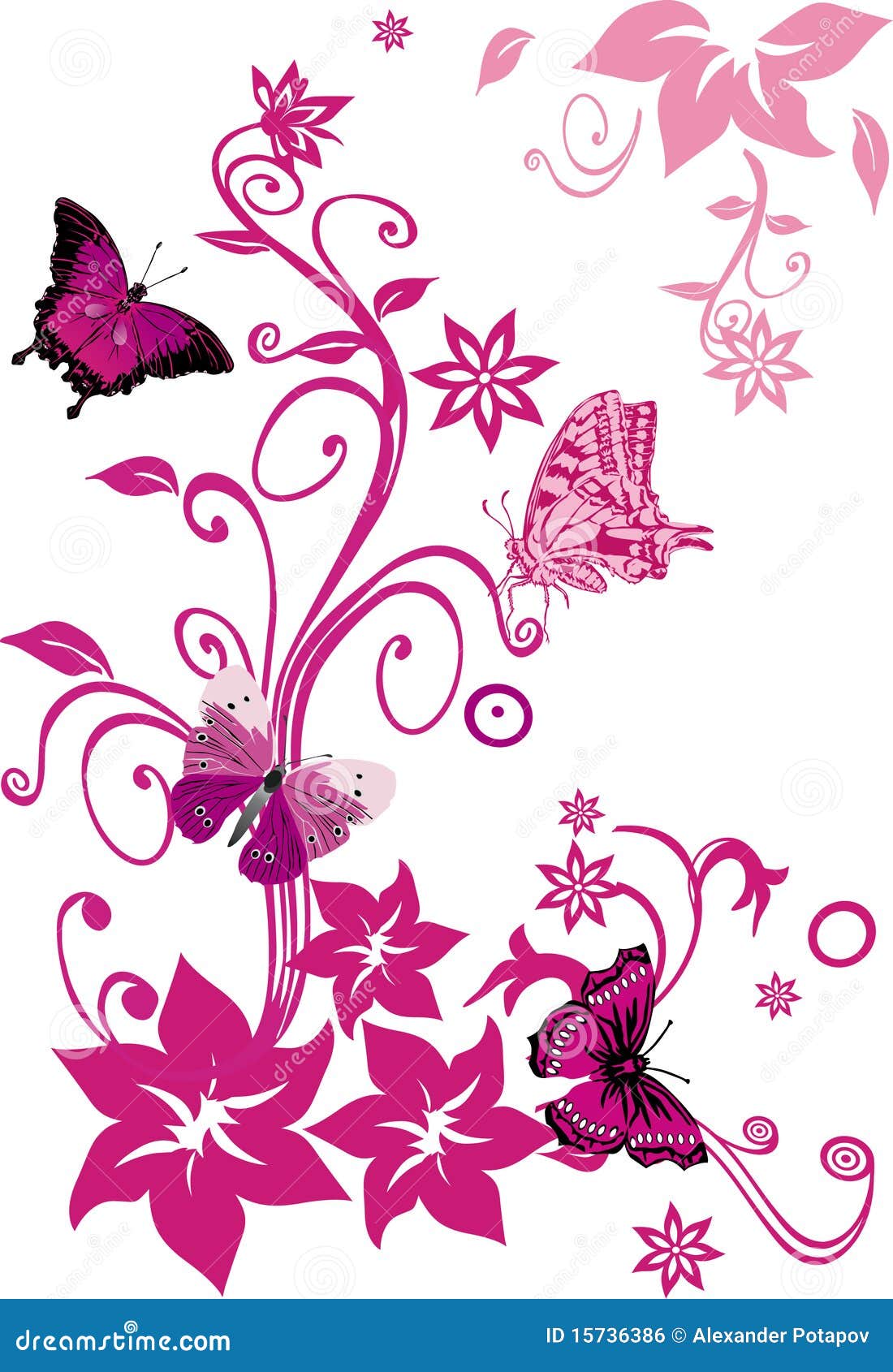 Mariposas Rosadas En Las Flores En Blanco Ilustración del Vector -  Ilustración de crecimiento, planta: 15736386