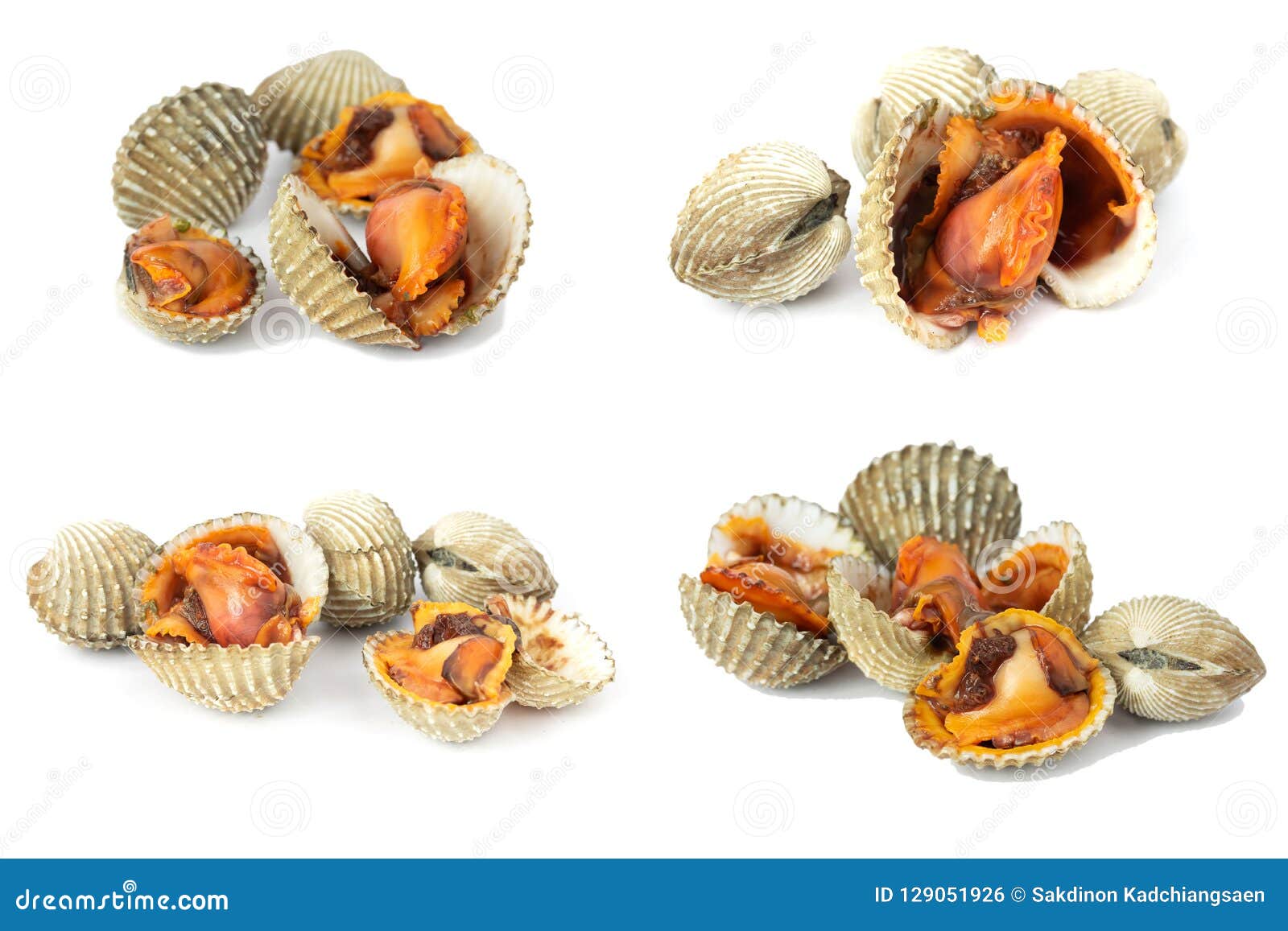 Mariscos Frescos De Los Berberechos Foto de archivo Imagen de