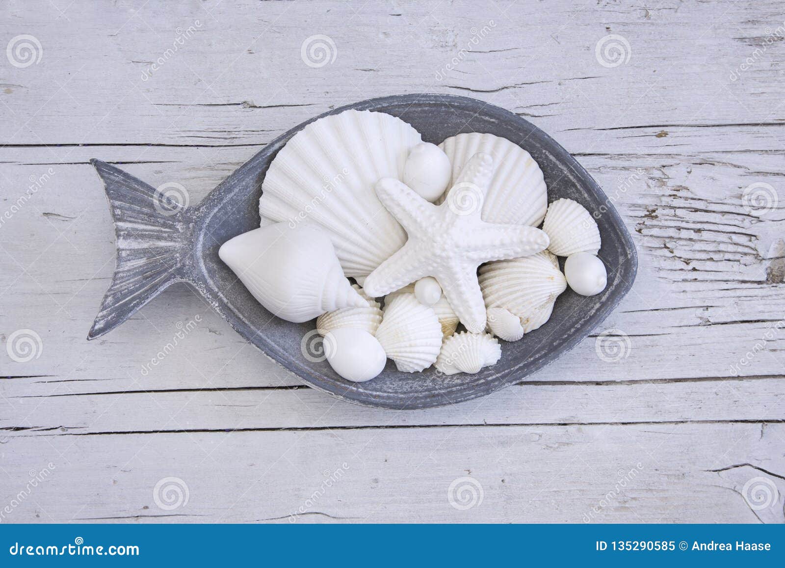 Maritime Still Life Fisch stock image. Image of decorative 135290585