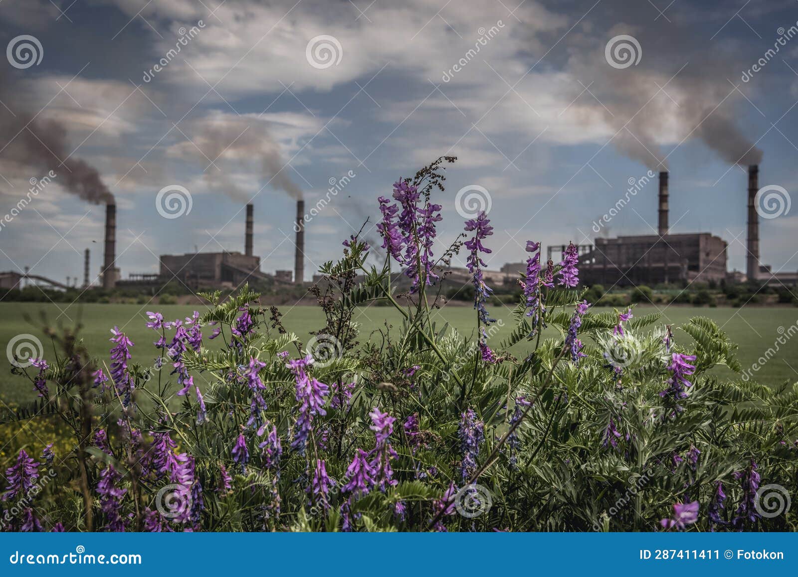 mariupol during war in donbas region, ukraine