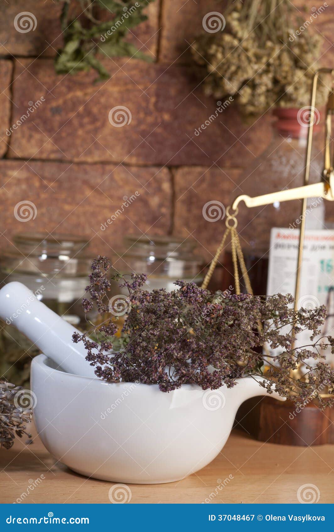 Marjoram stock image. Image of plant, flower, liquid 37048467