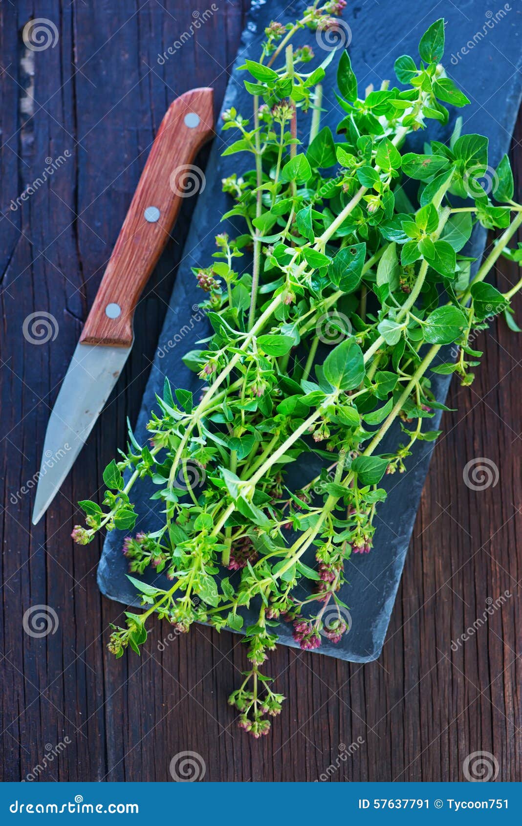 Marjoram stock image. Image of bundle, marjoram, ingredient 57637791