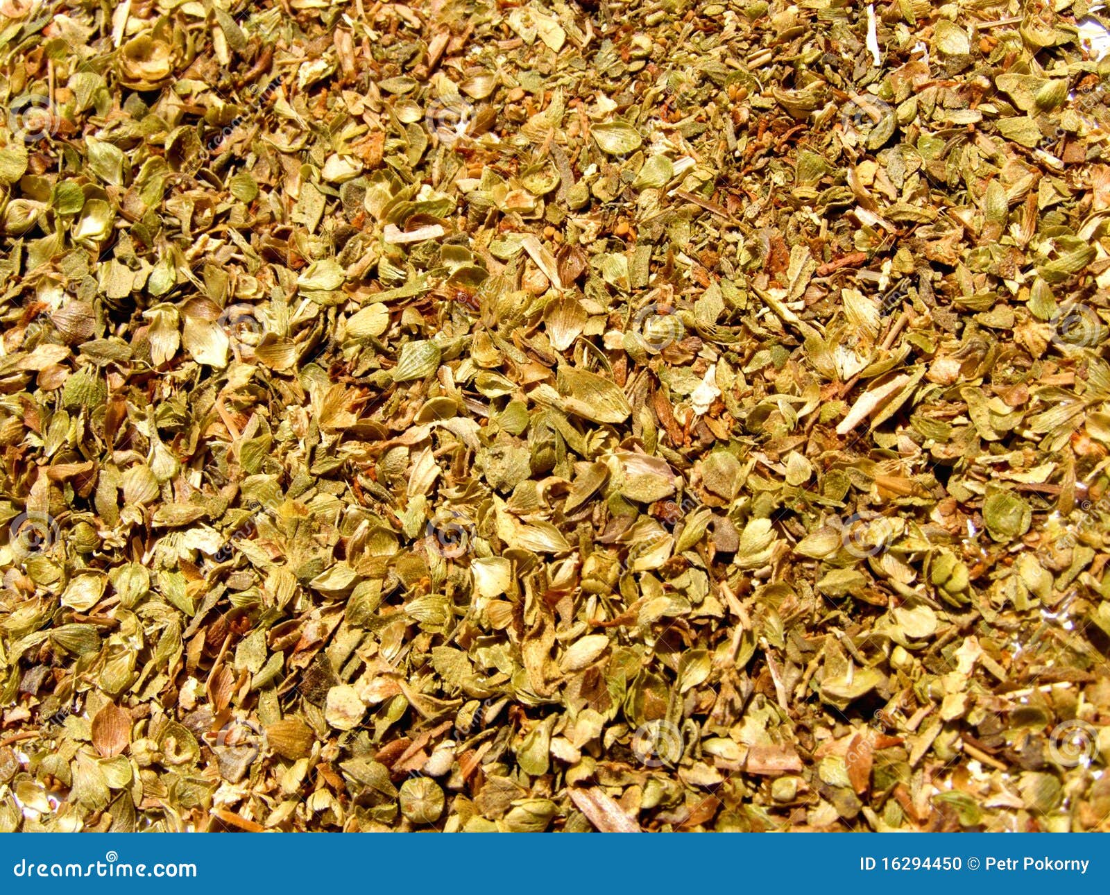 Marjoram spice texture stock photo. Image of flavour 16294450