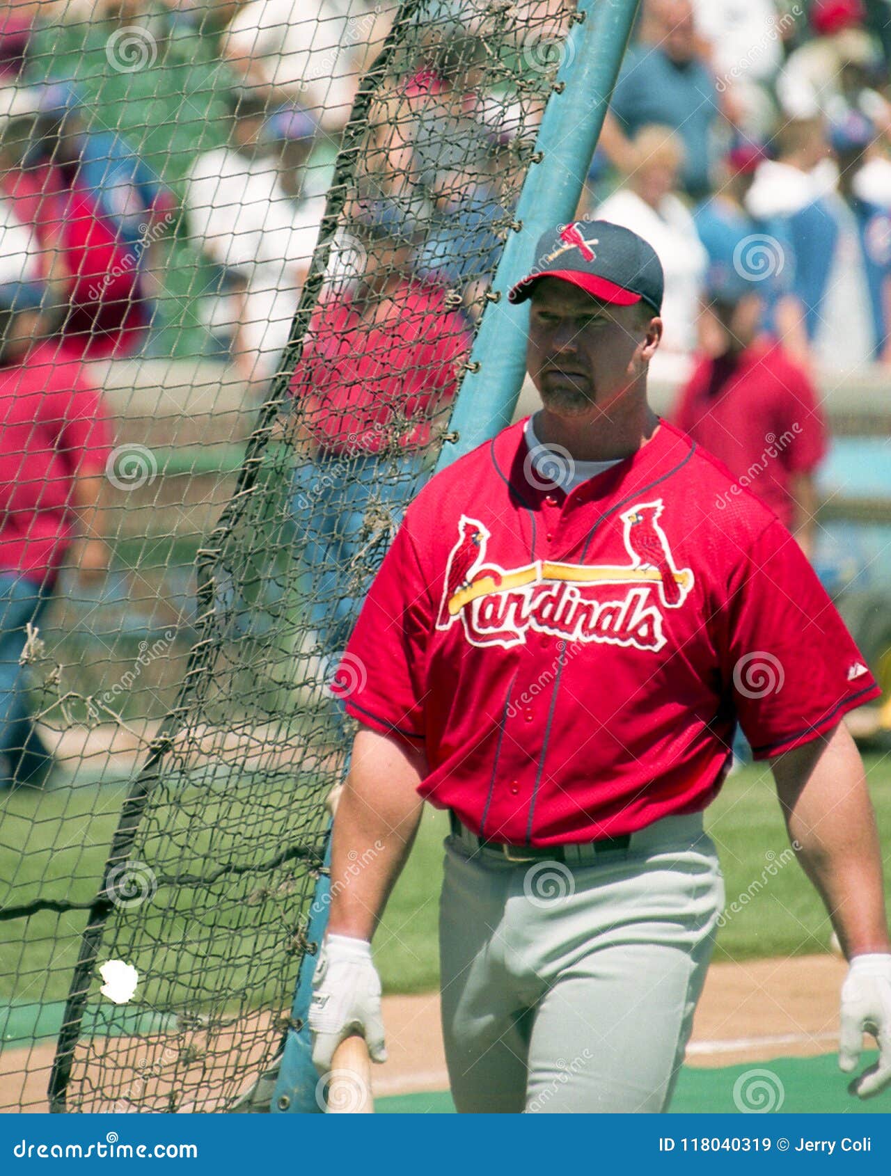 Mark McGwire St. Louis Cardinals Editorial Stock Image - Image of batter,  helmet: 118040319