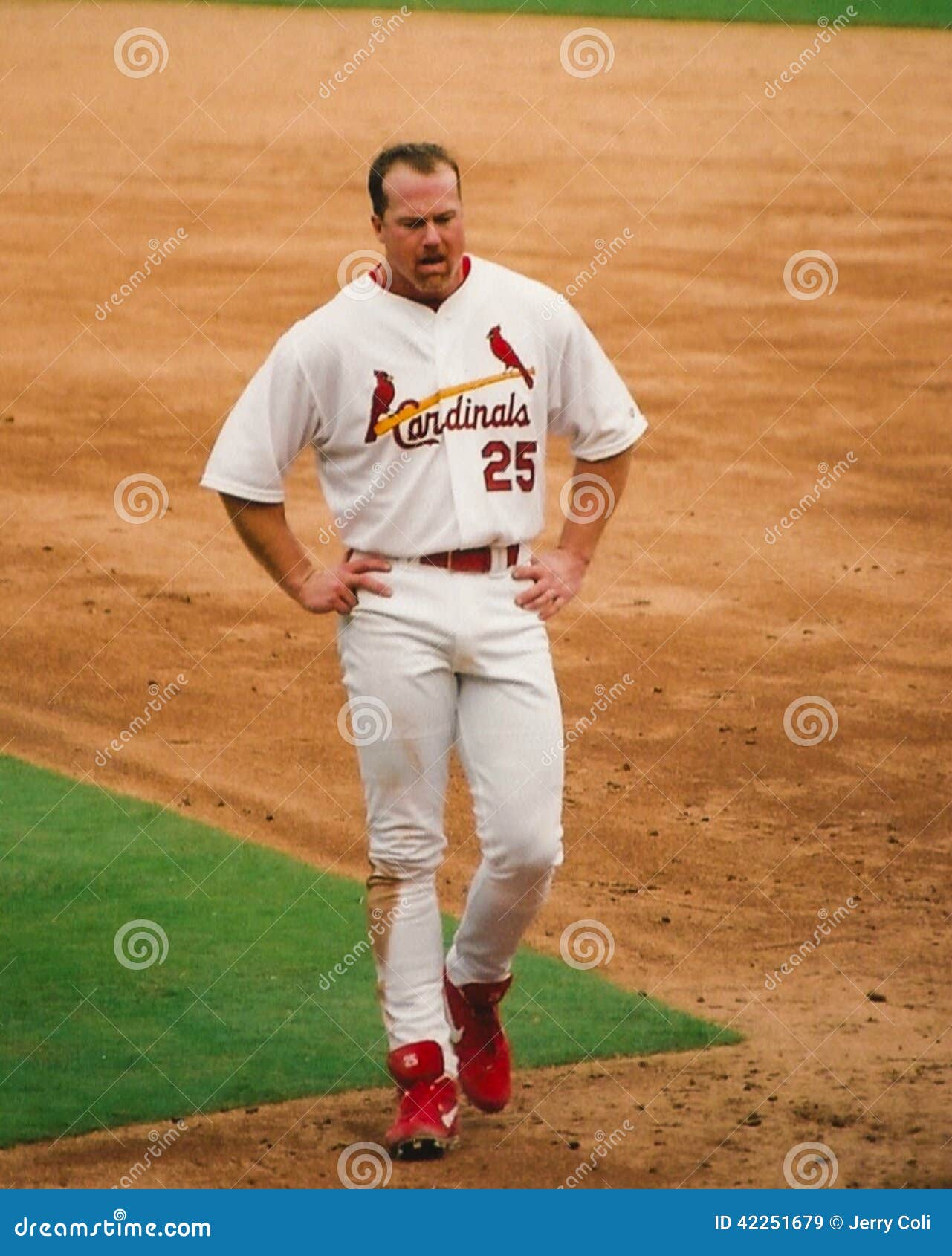 Mark McGwire, St. Louis Cardinals Editorial Stock Image - Image of coach,  mcgwire: 42251679