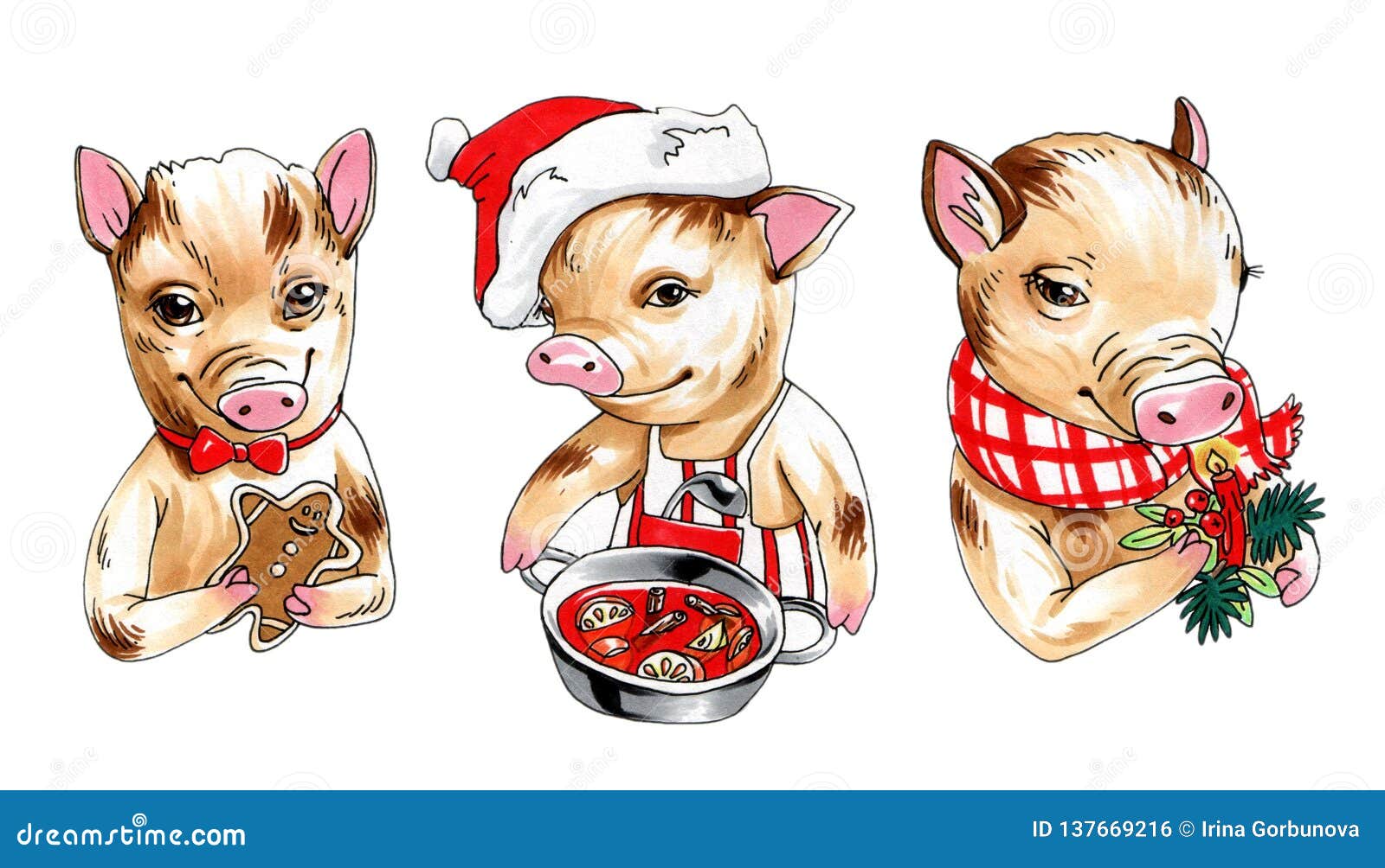 micro mini pig images clipart