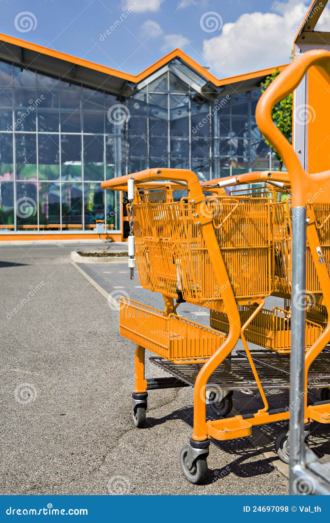 Market stock photo. Image of groceries, mall, cart, customer 24697098